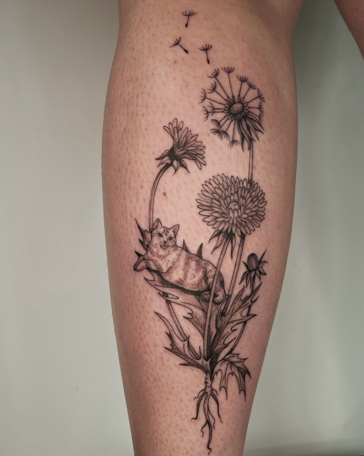 Dandelion and cat black and grey tattoo on the calf by Mikayla Sue
