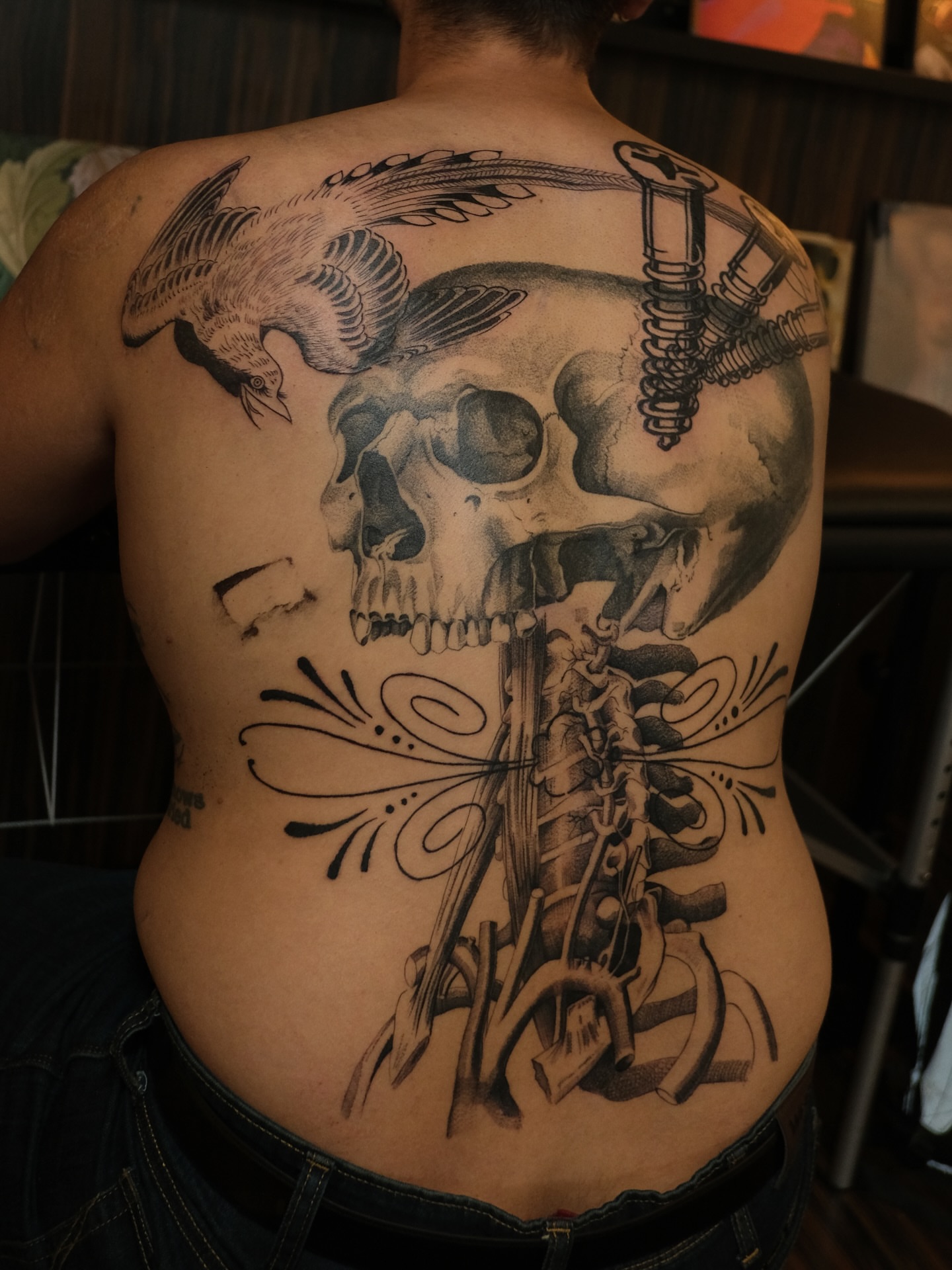 Skull and bird realism tattoo on the back by Zanereti
