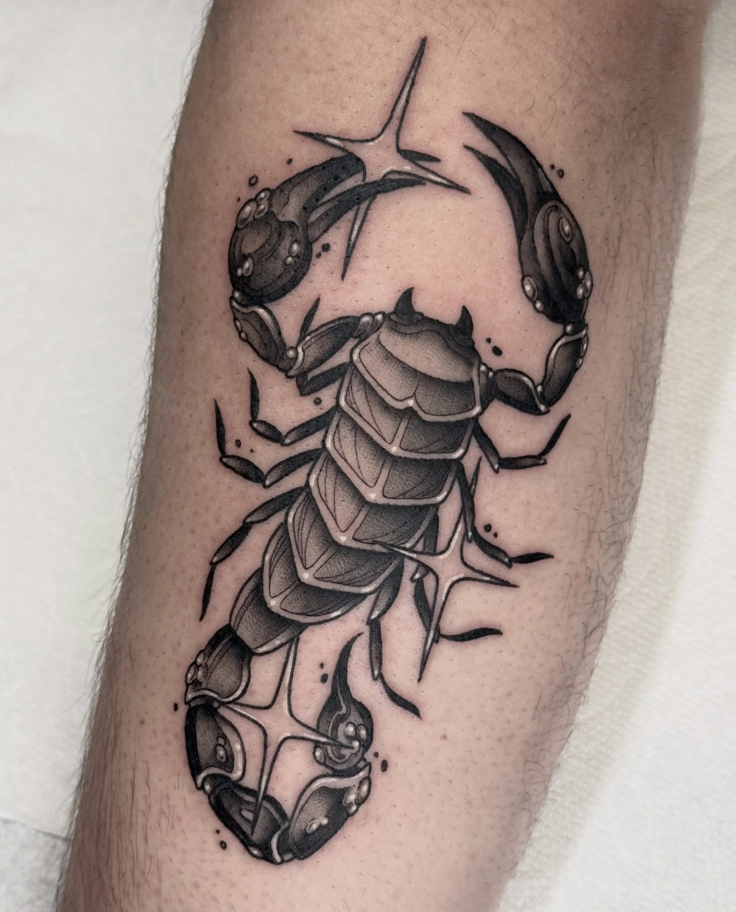Scorpion realism tattoo on the forearm by Hannah May, La Mesa, California