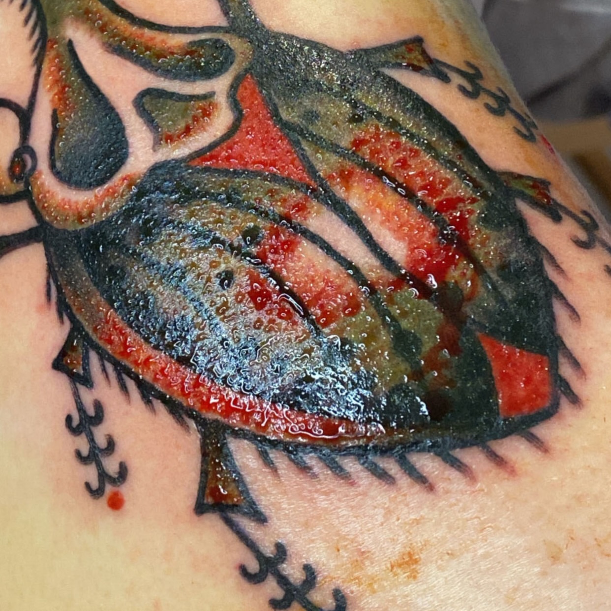 Insect American traditional tattoo on the upper arm by Myka King
