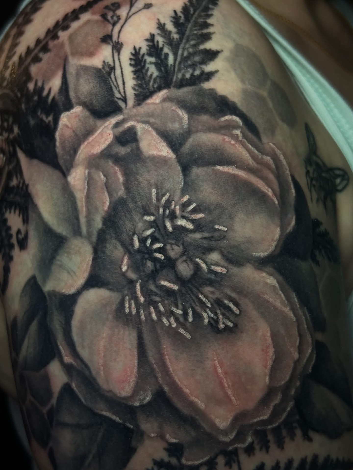 Flower realism tattoo on the shoulder by Vanessa Kendyll’s Tattoos