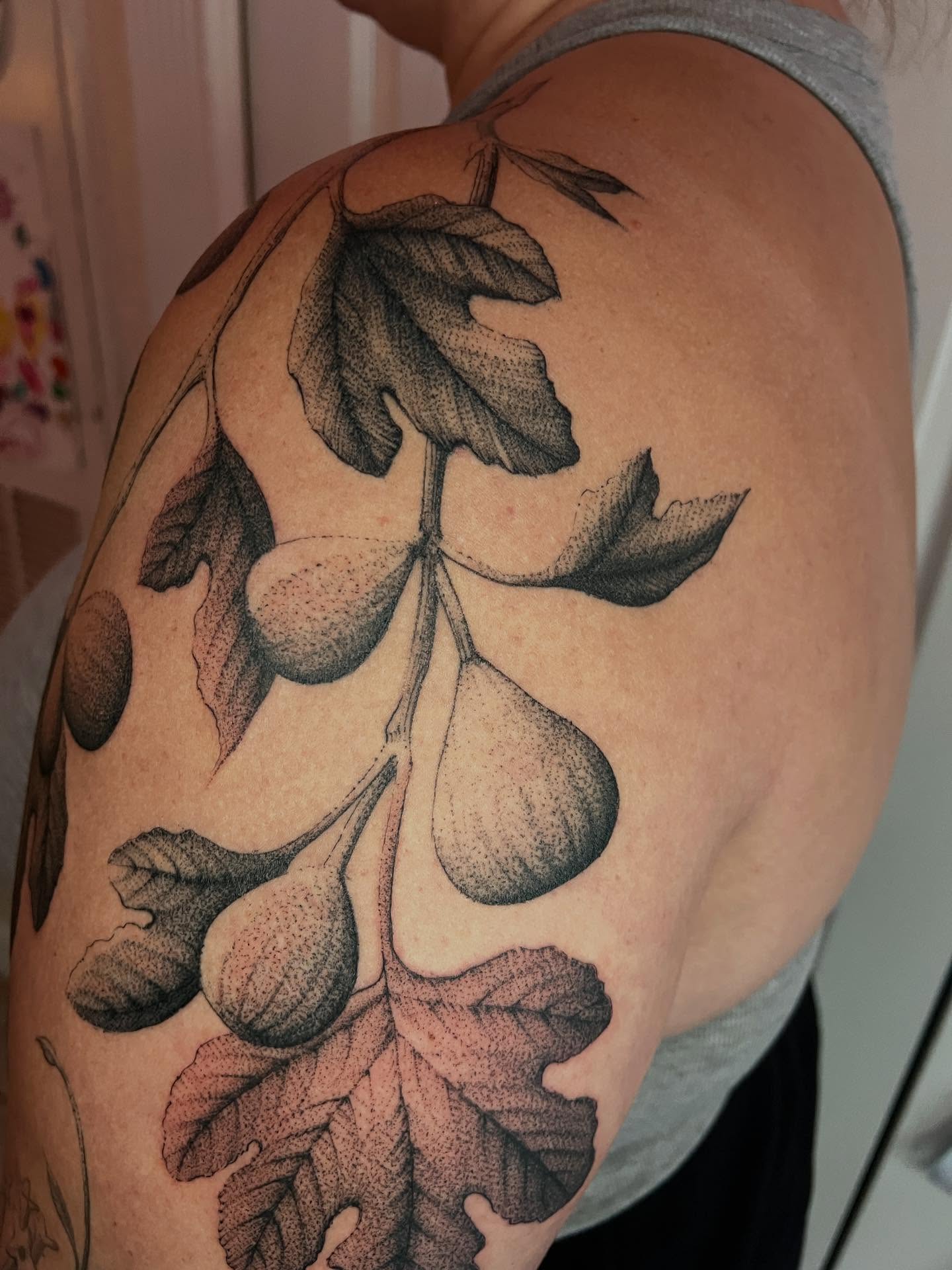 Figs and leaves dotwork tattoo on the shoulder by Natasha