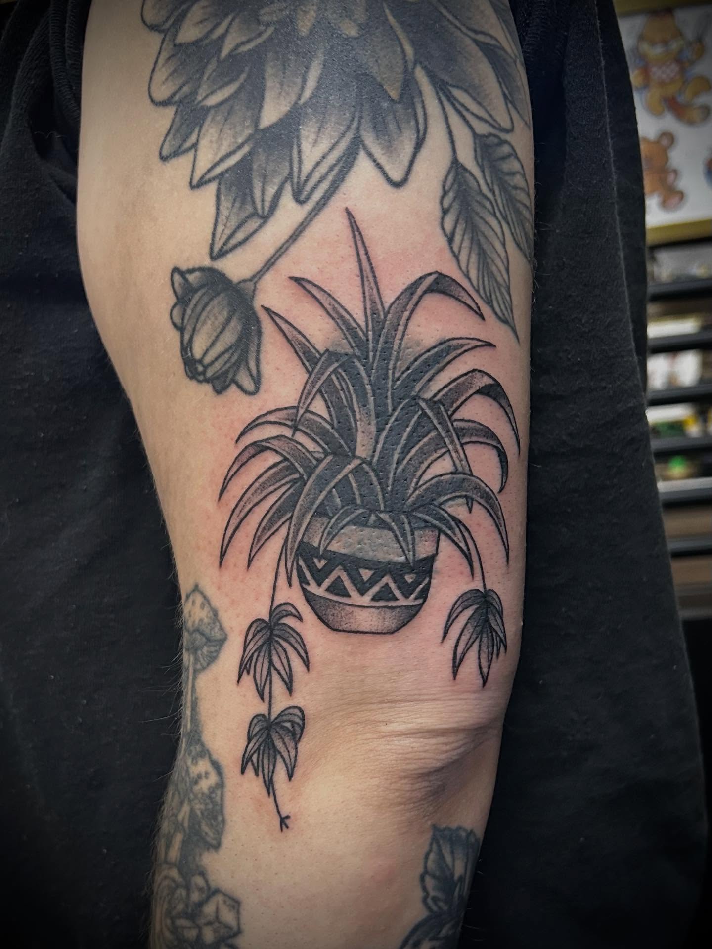 Houseplant black and grey tattoo on the forearm by ✶ 𝓑𝓲𝓽𝓮𝓼𝓲𝔃𝓮𝓭 𝓘𝓷𝓴 ✶, Buford, Georgia