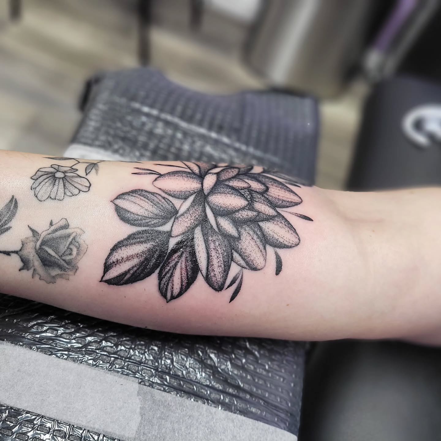 Tattoo by @tatsbykyra1 โ dotwork, black_and_grey
