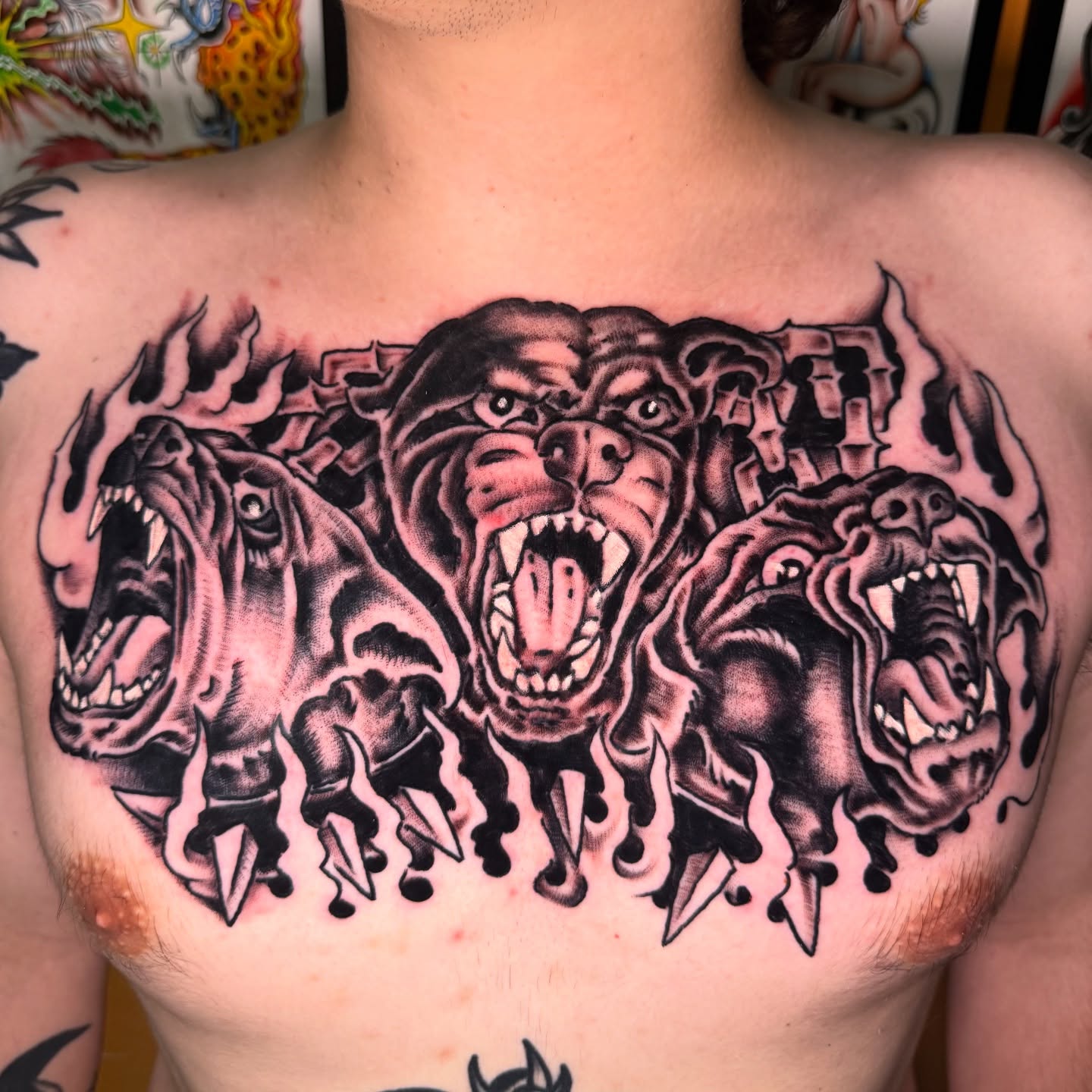 Angry dogs American traditional tattoo on the chest by Mike Dunn