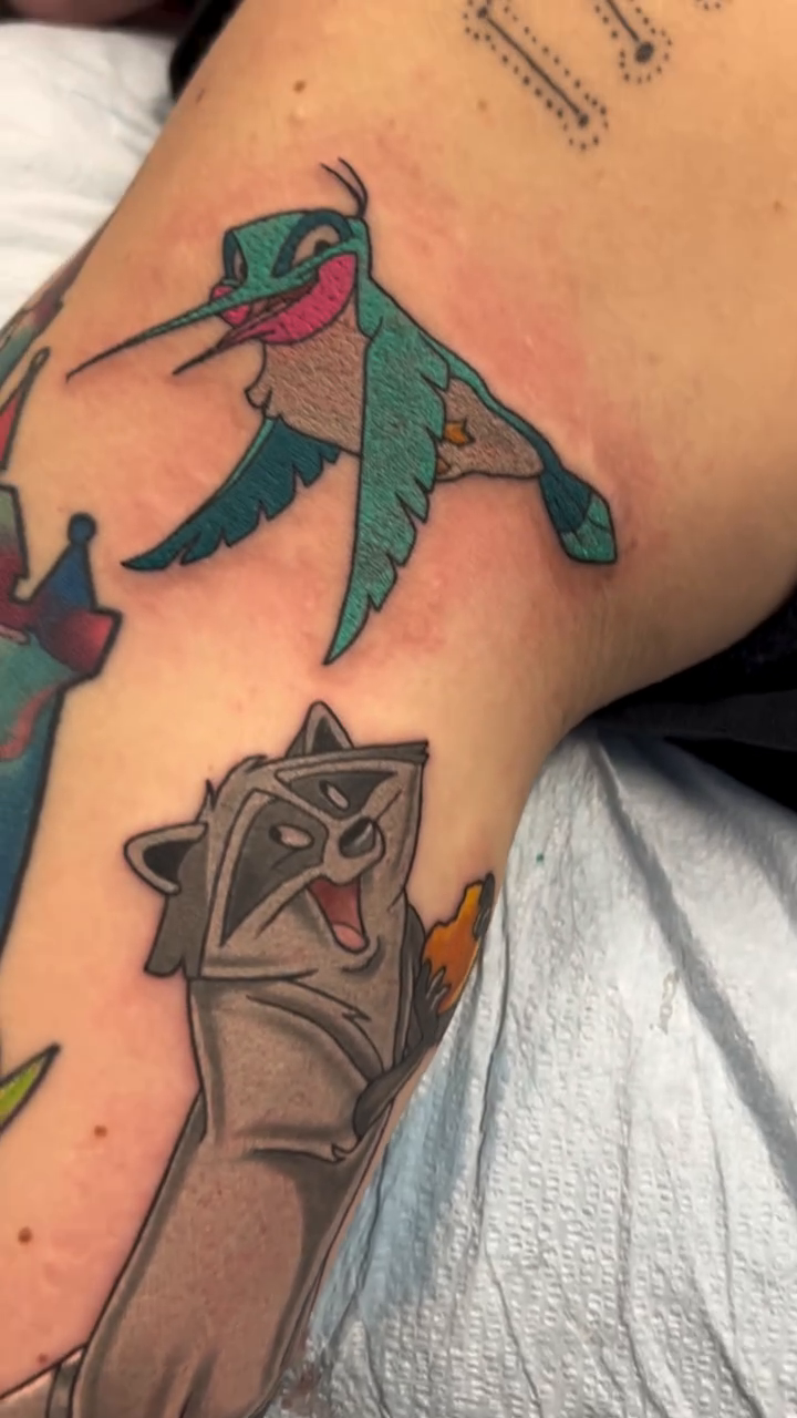 Hummingbird and raccoon new school tattoo by Sterling Grice