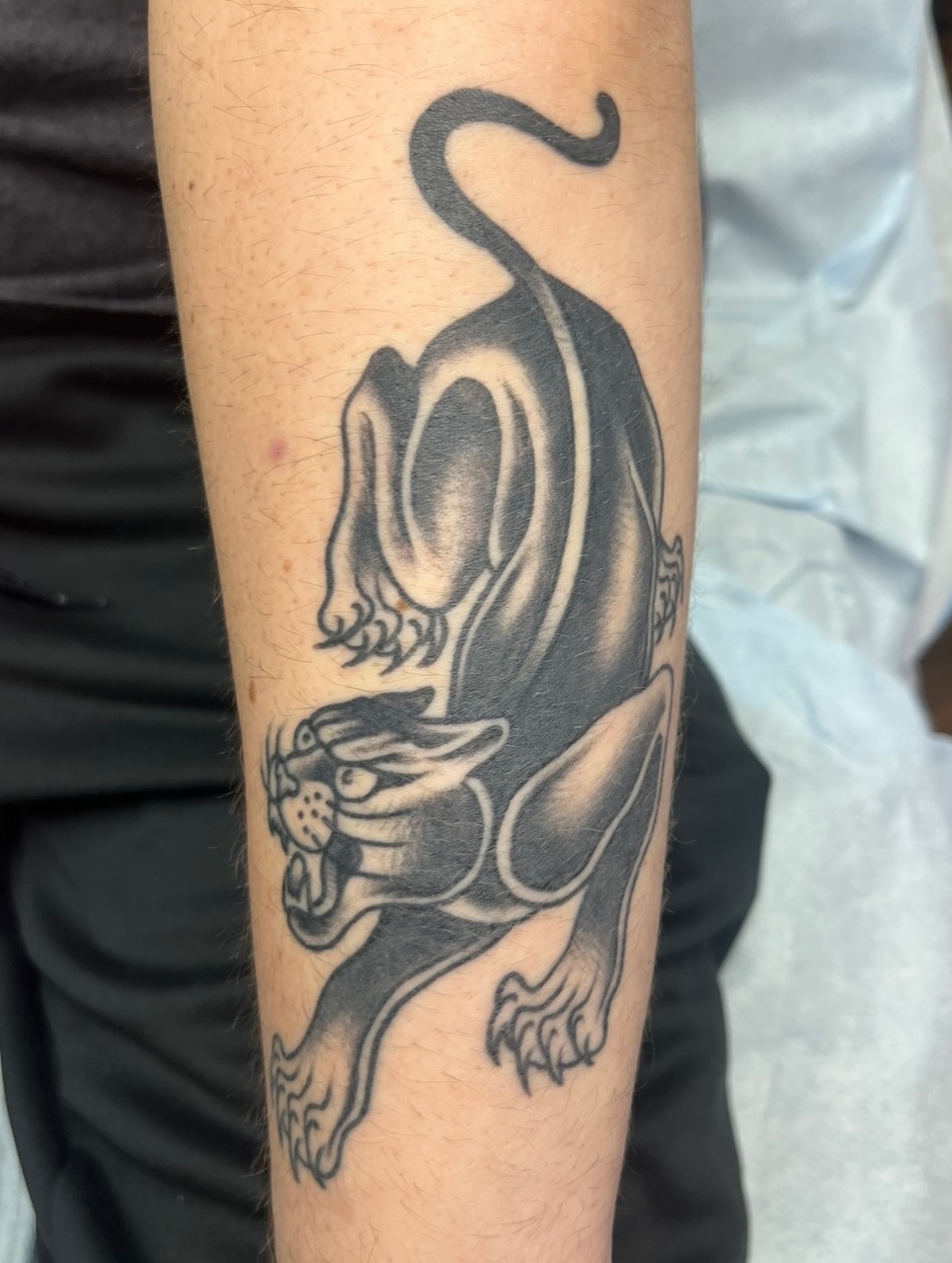 Panther black and grey tattoo on the forearm by Macy Bird