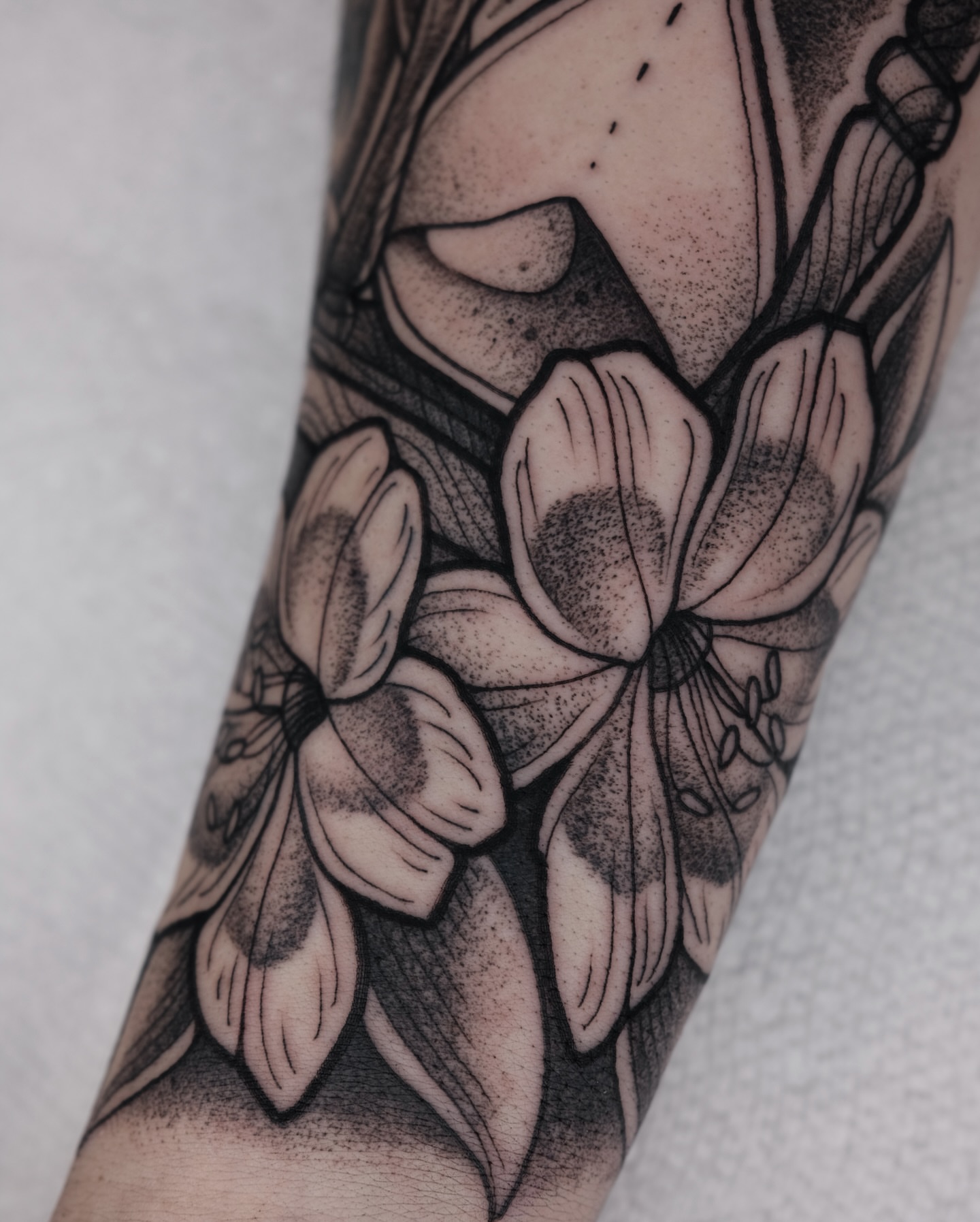 Tattoo by @kylepatricktattoo — dotwork, black_and_grey