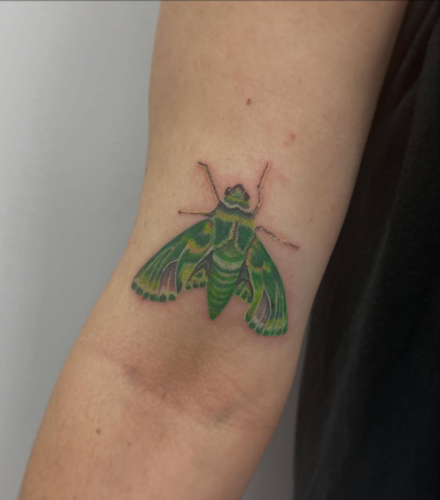 Tattoo by @candice.love.tattoos β realism