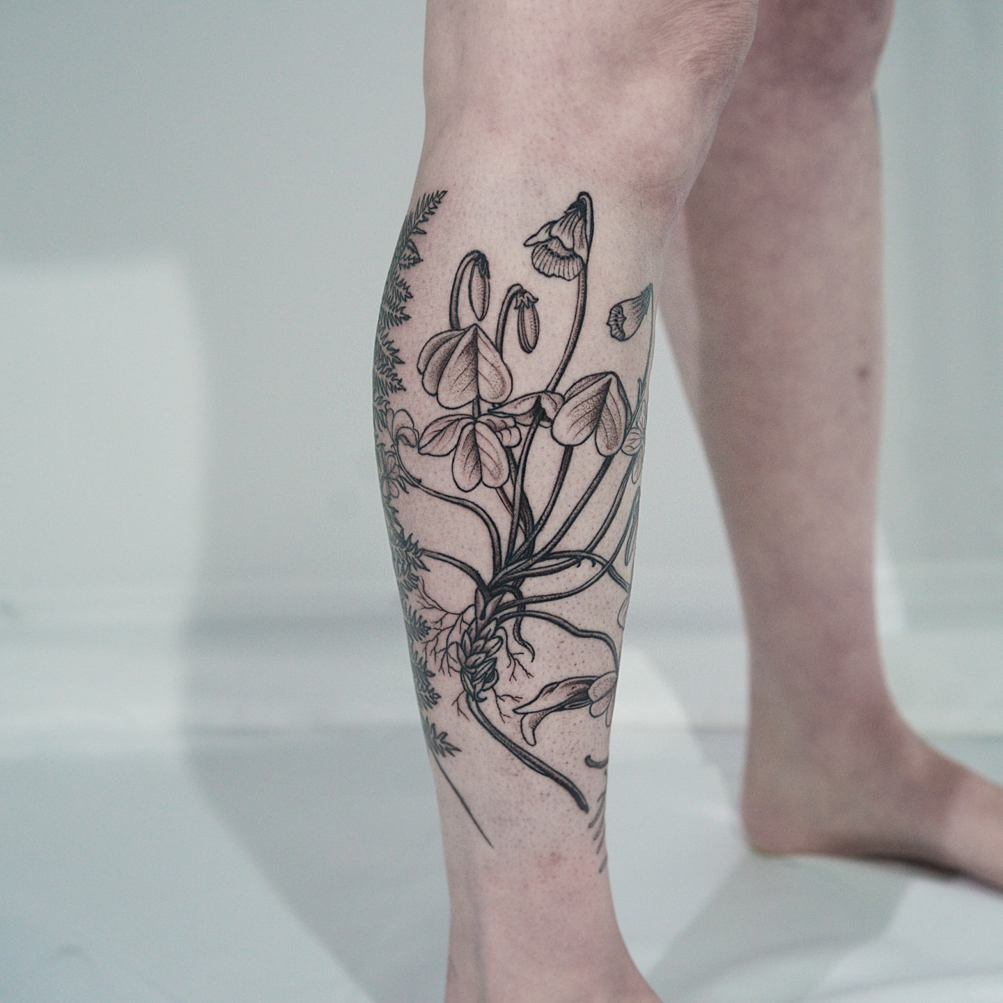 Orchid black and grey tattoo on the calf by H I R A  L U P E - tattoo artist, Oakland, California
