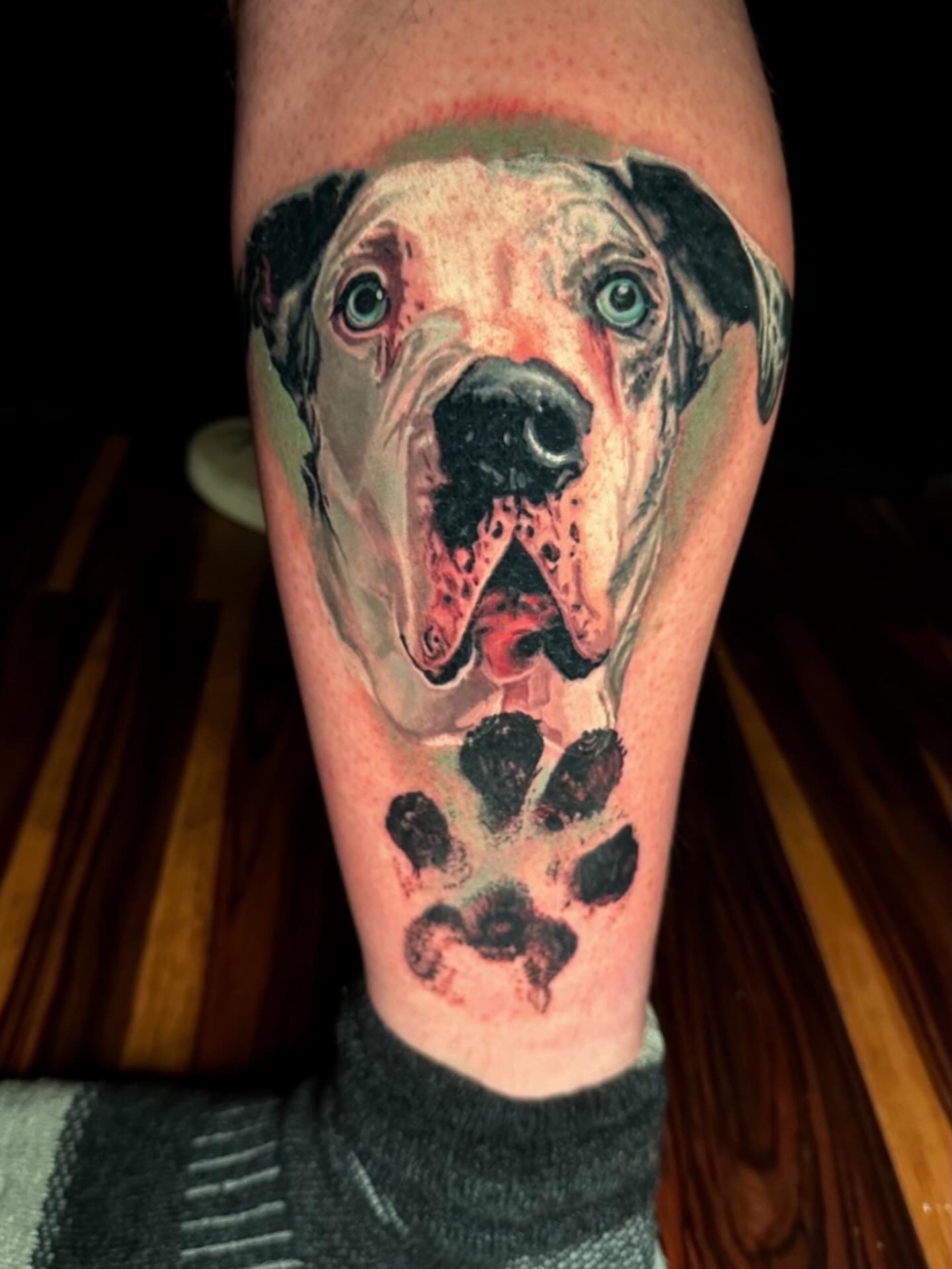 Dog portrait realism tattoo on the forearm by Joshua L Wilson, Dayton, Ohio