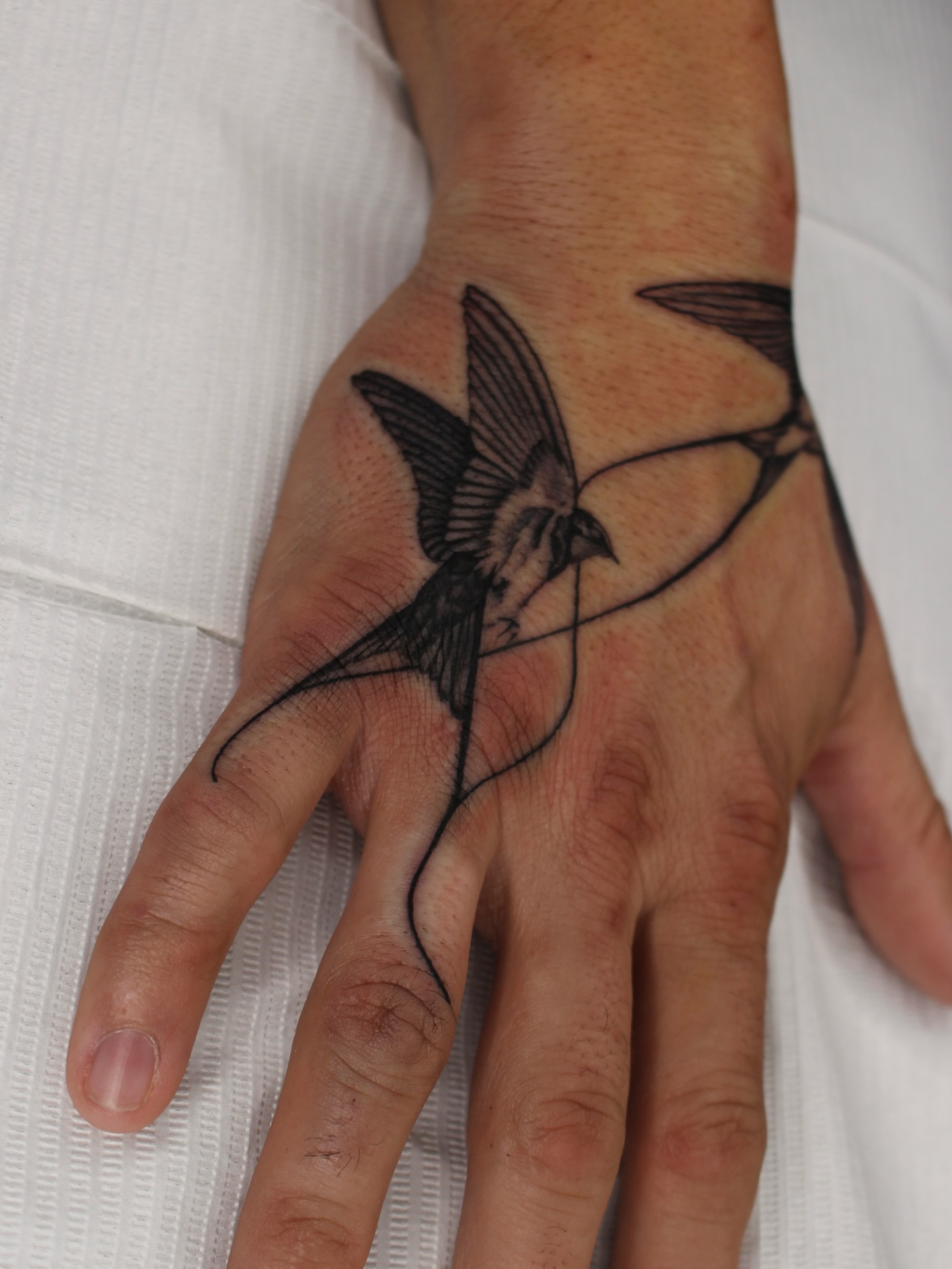 Bird black and grey tattoo on the hand by Jessica Roberts