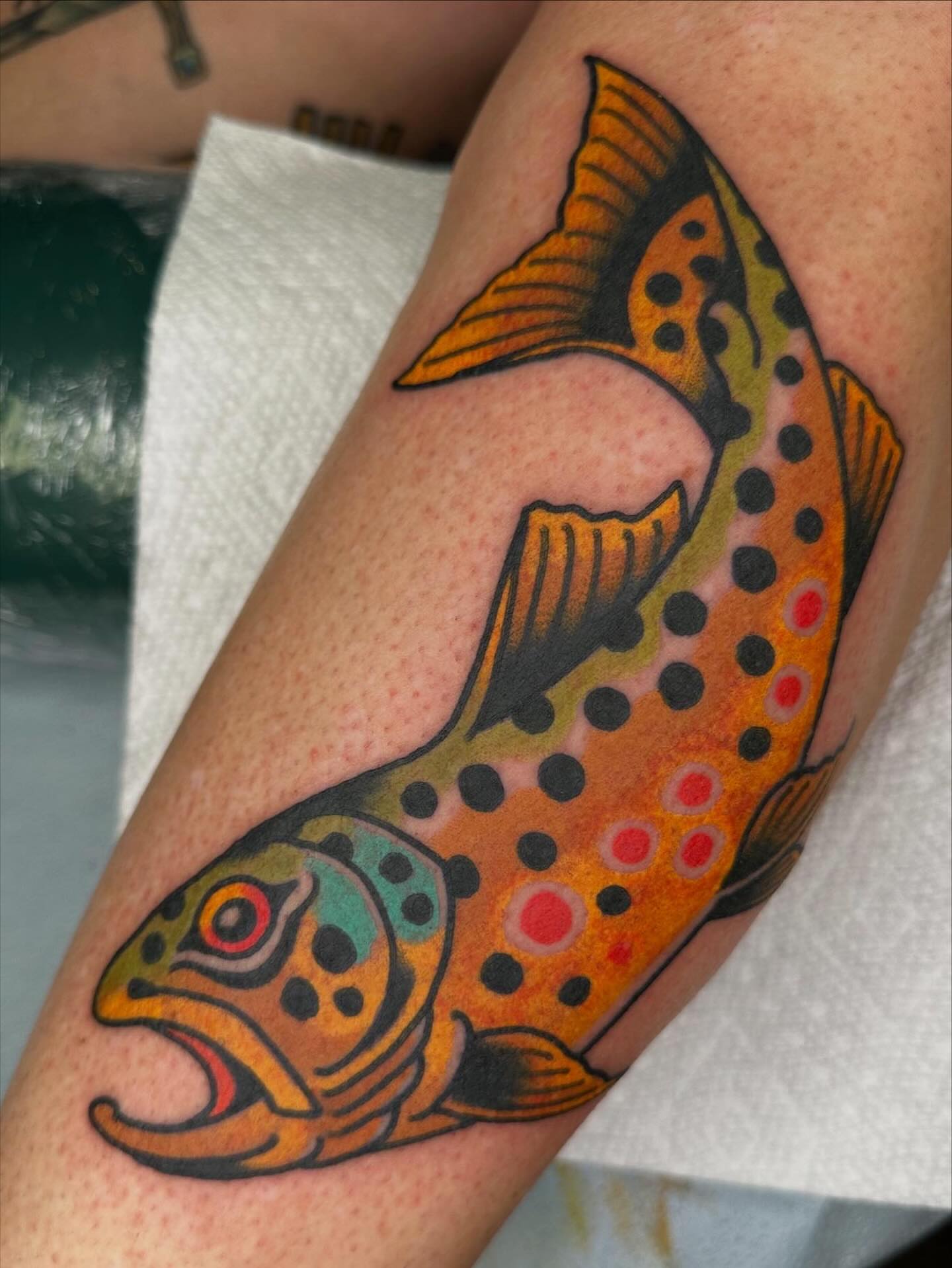 Brown trout American traditional tattoo on the forearm by Danny Reed, Asheville, North Carolina