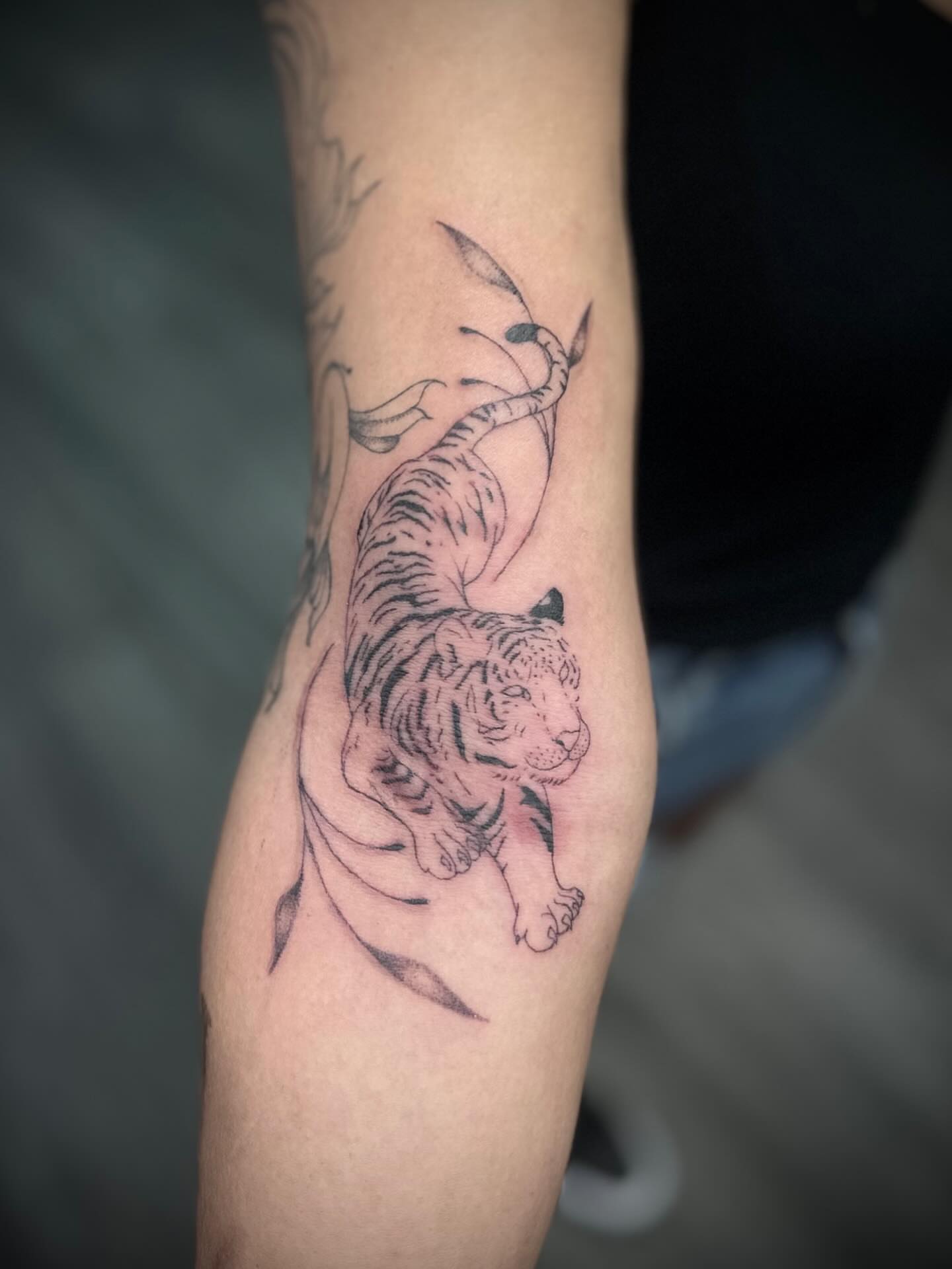Tiger black and grey tattoo on the forearm by Bell