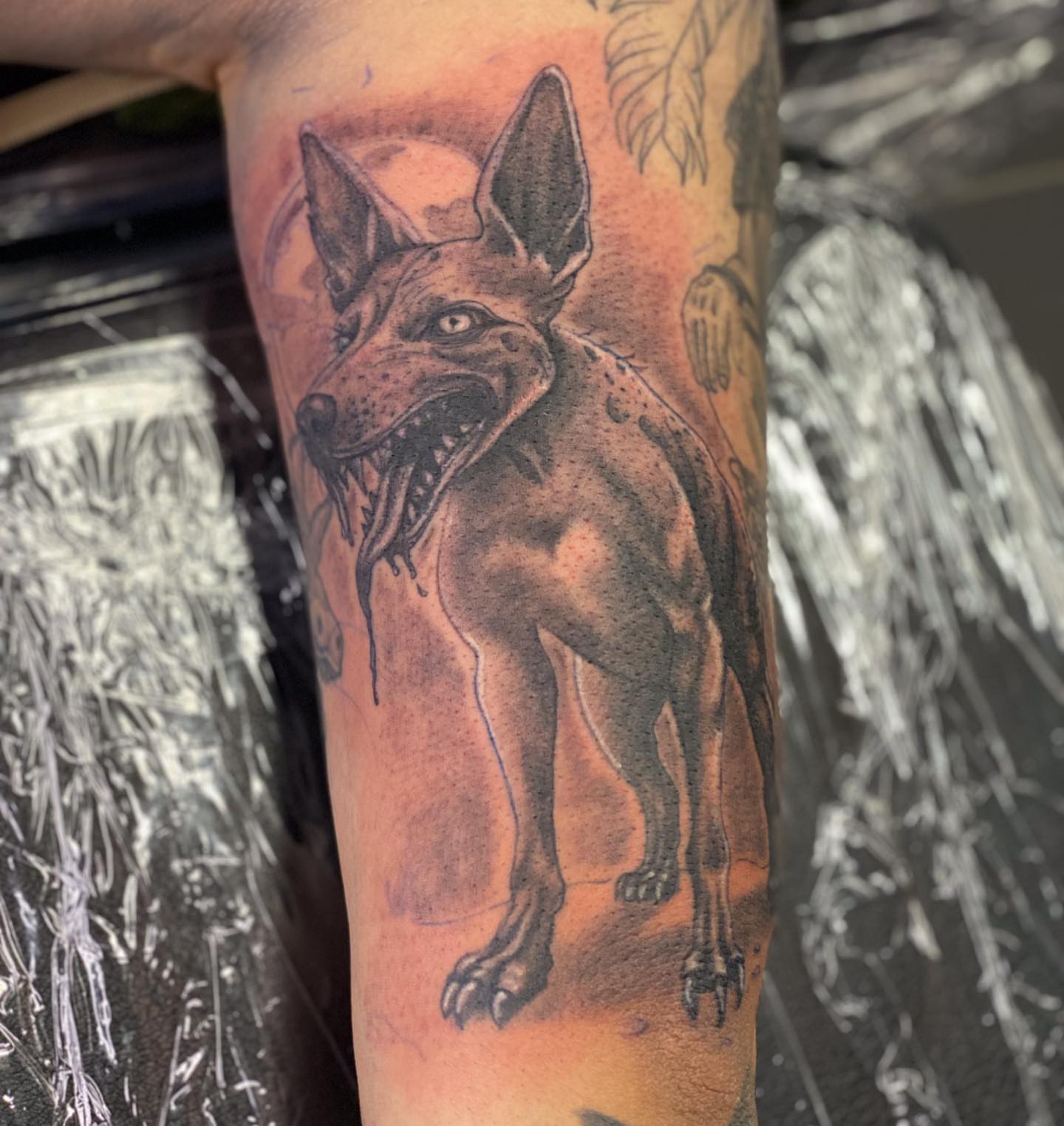 Wolf realism tattoo on the forearm by Chino's Tattoos