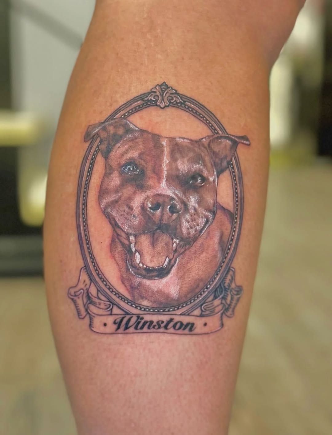 Dog portrait realism tattoo on the forearm by Tyla Pistak, Seattle, Washington
