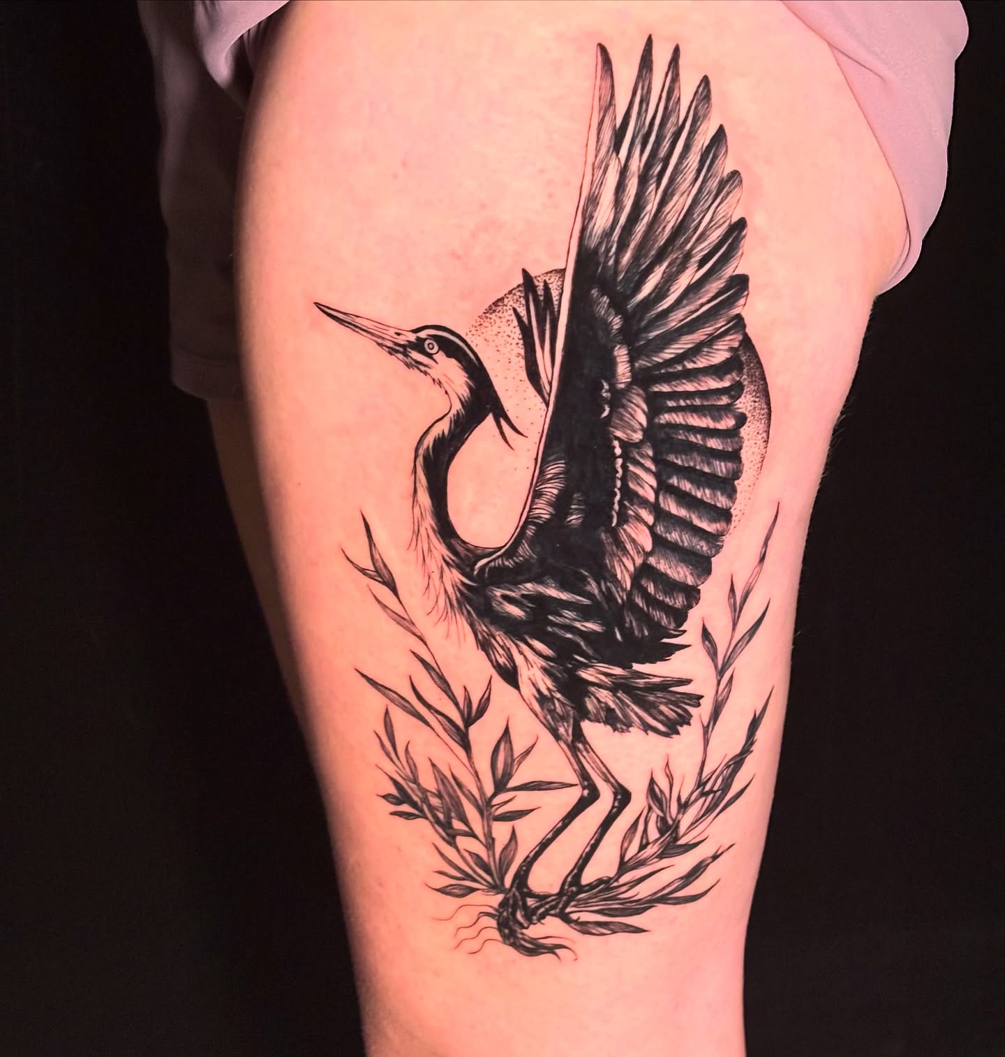 Heron black and grey tattoo on the thigh by Sarah Sacco