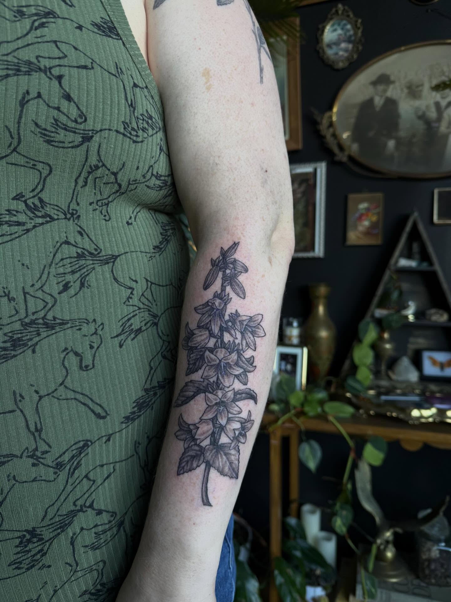 Bellflower black and grey tattoo on the forearm by Cort Prescott 🕸 OKC Tattoo Artist, Oklahoma City, Oklahoma