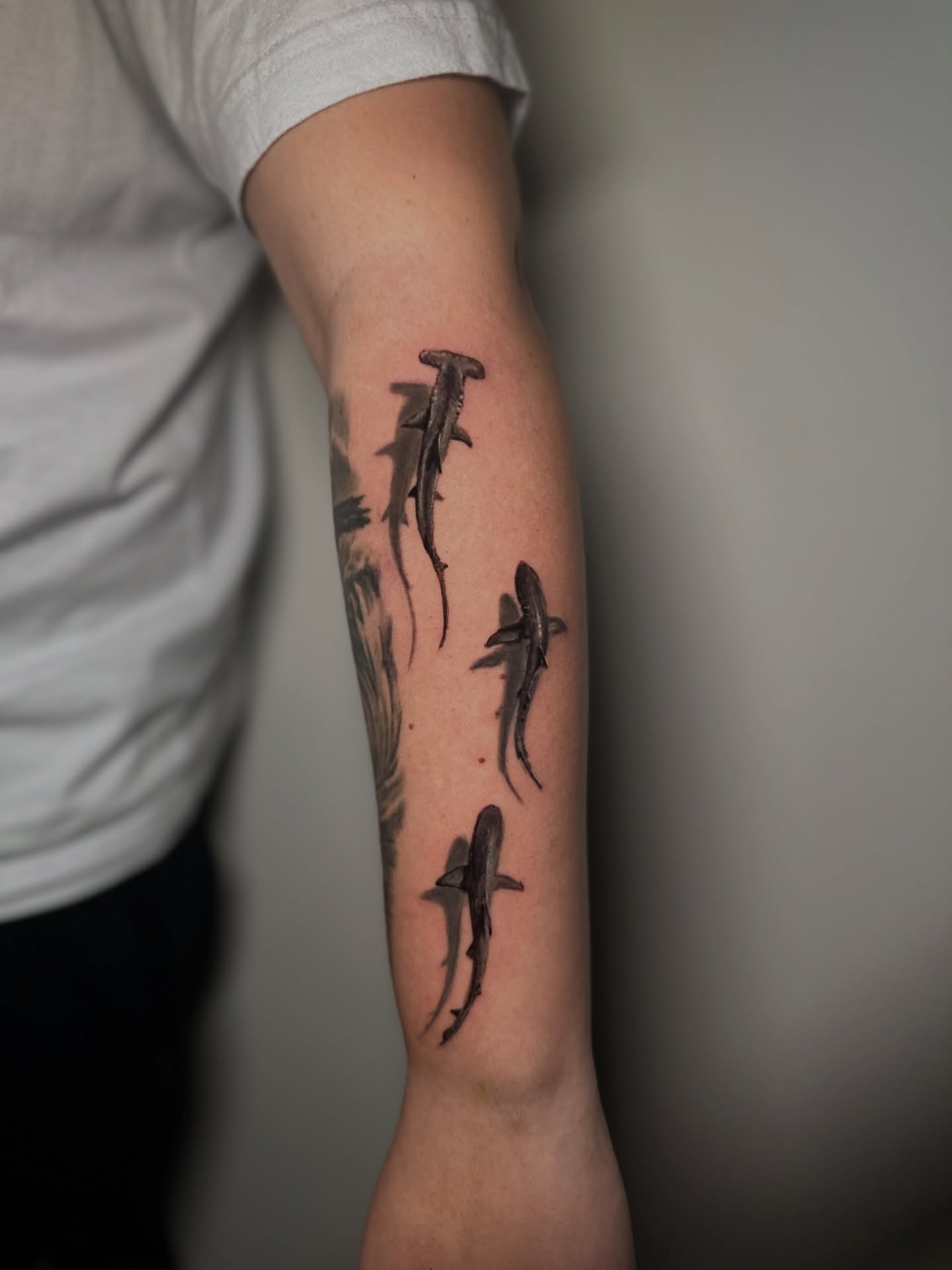 Sharks realism tattoo on the forearm by Héctor Agudelo