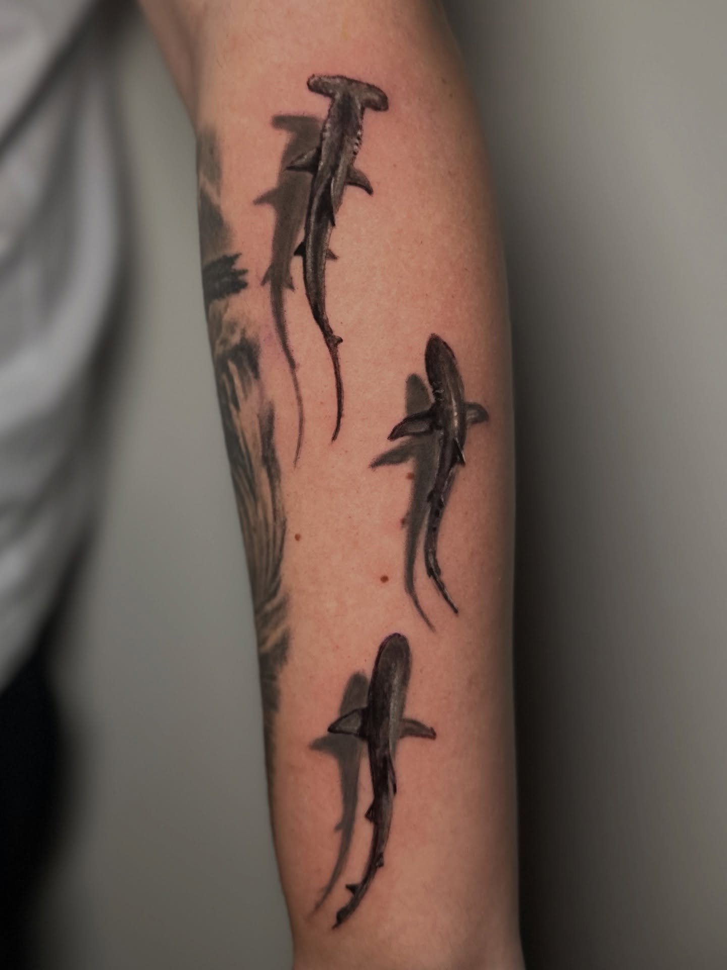 Tattoo by @hectorag_tattoo — realism