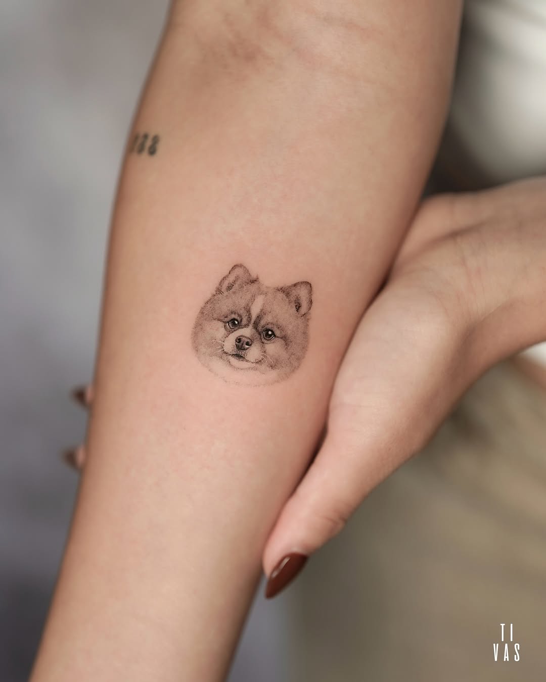 Dog portrait realism tattoo on the forearm by Tivas │ Tattoo Artist