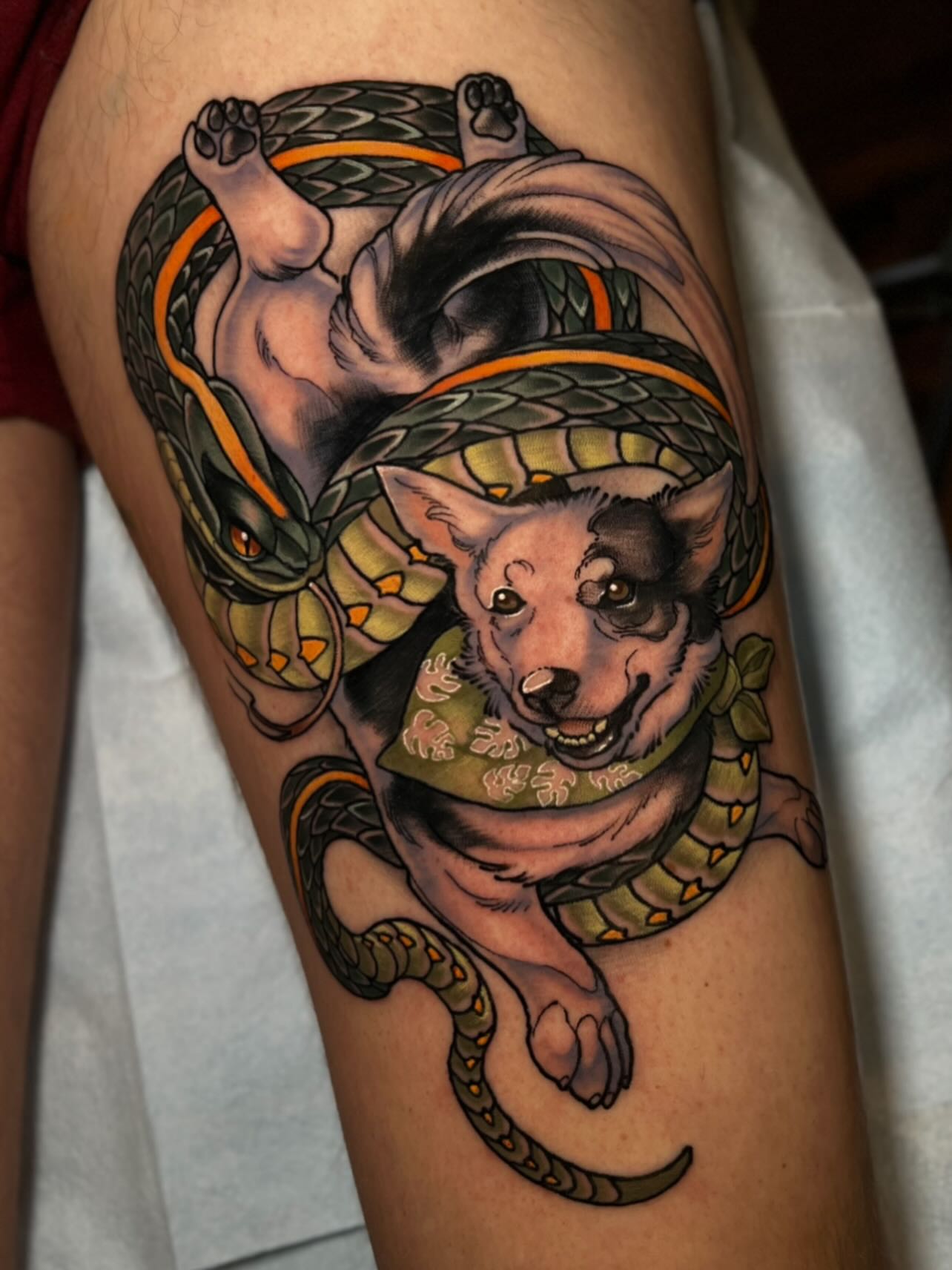 Dog with snake American traditional tattoo on the thigh by Jen Love