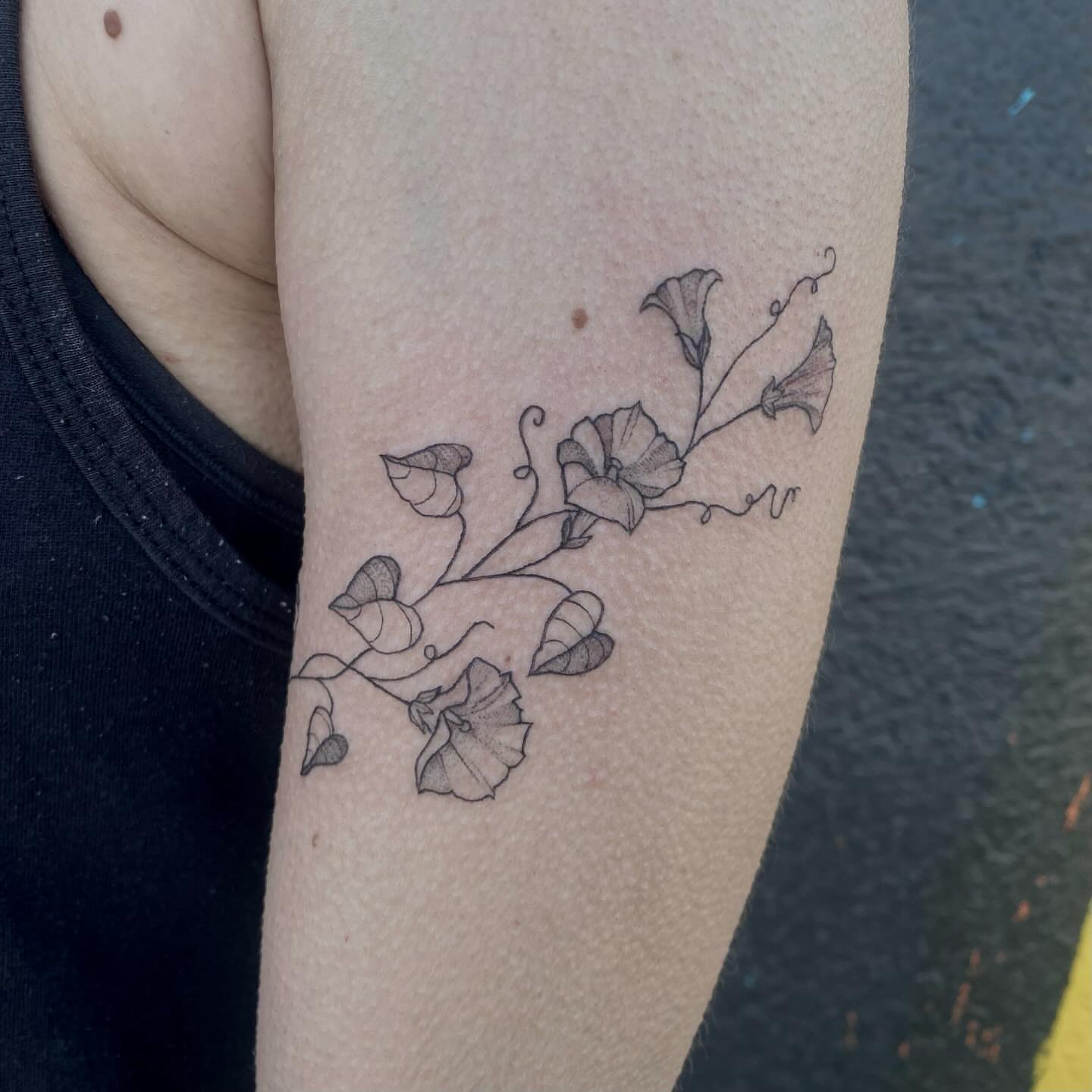 Flower vine fine line tattoo on the forearm by Emmaleigh Rose