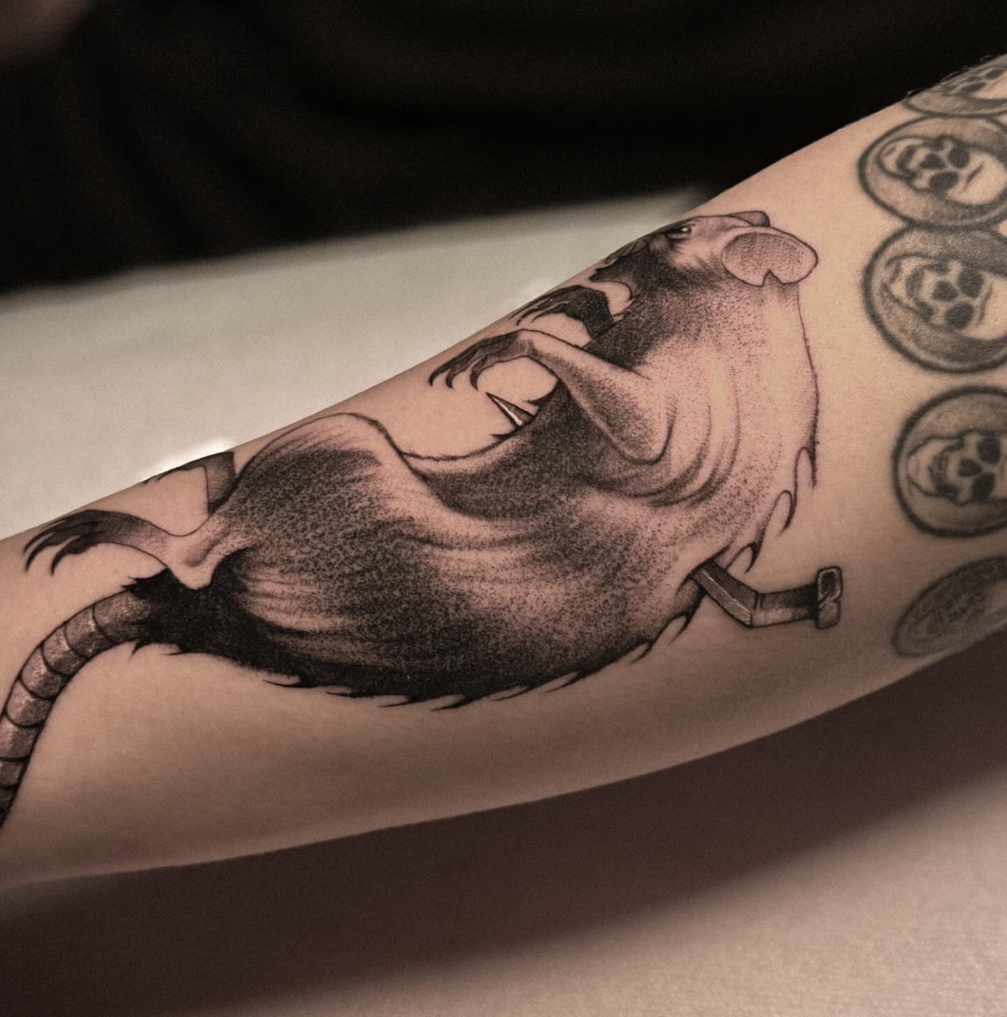 Rat dotwork tattoo on the forearm by La Hyene
