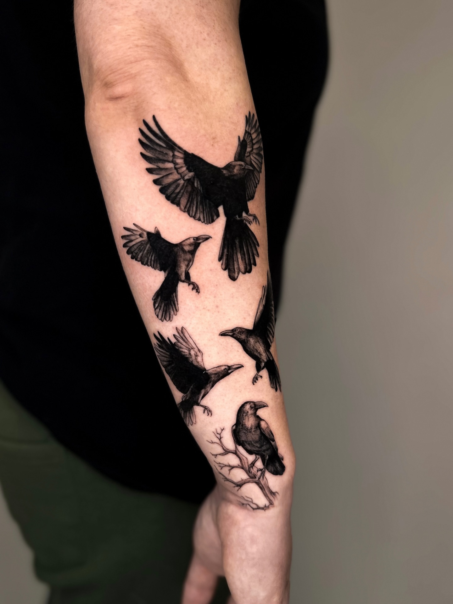 Birds black and grey tattoo on the forearm by Lauren