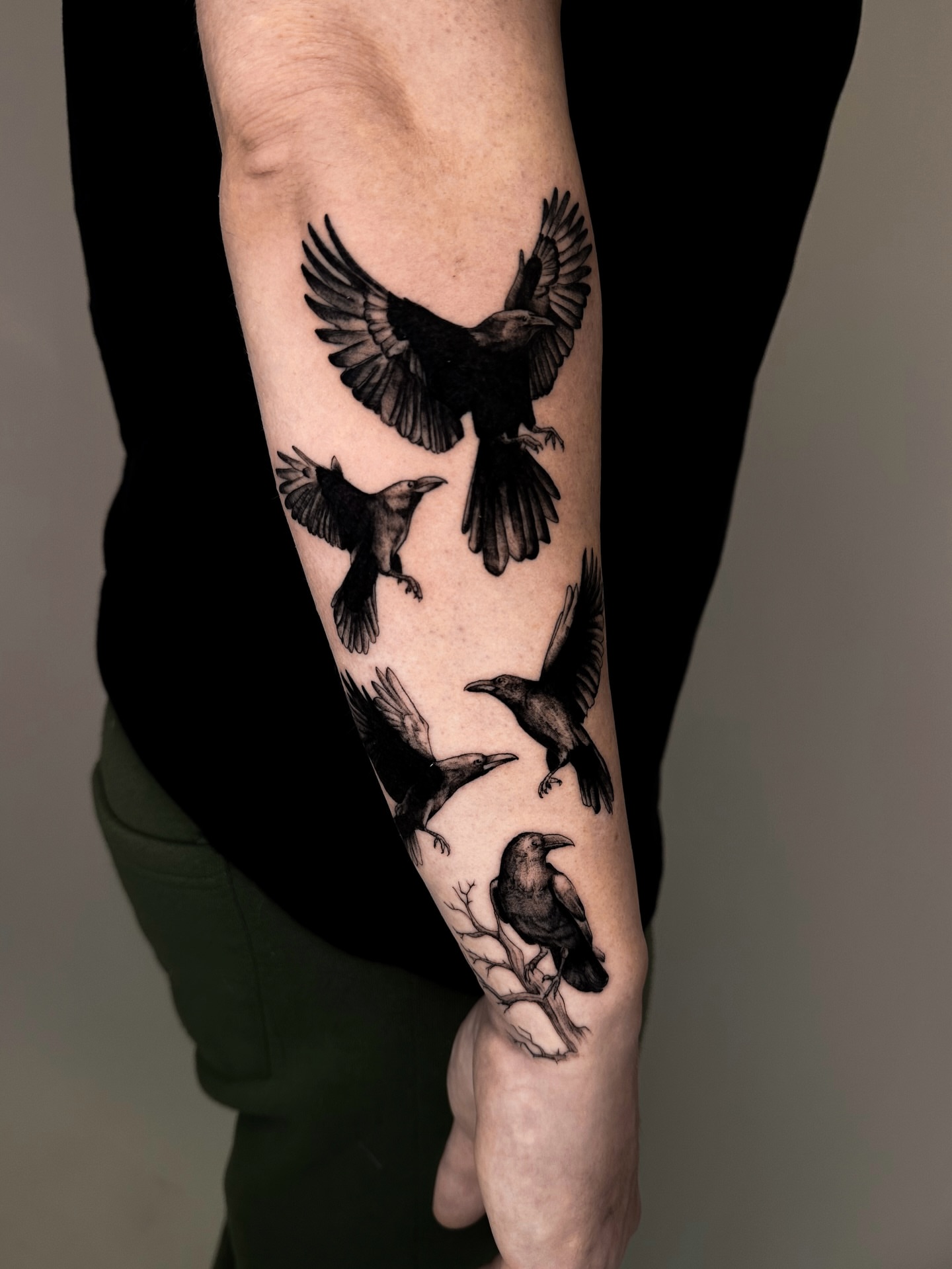 Birds black and grey tattoo on the forearm by Lauren