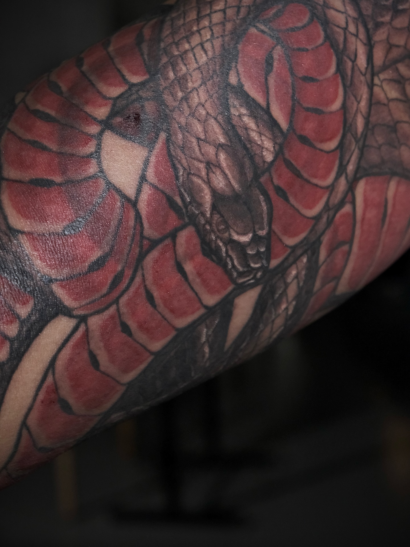 Tattoo by @gat_ink — realism