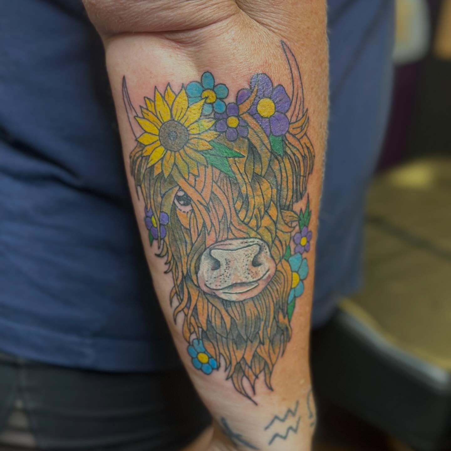 Highland cow illustrative tattoo on the forearm by Joshua Ware, Alvarado, Texas