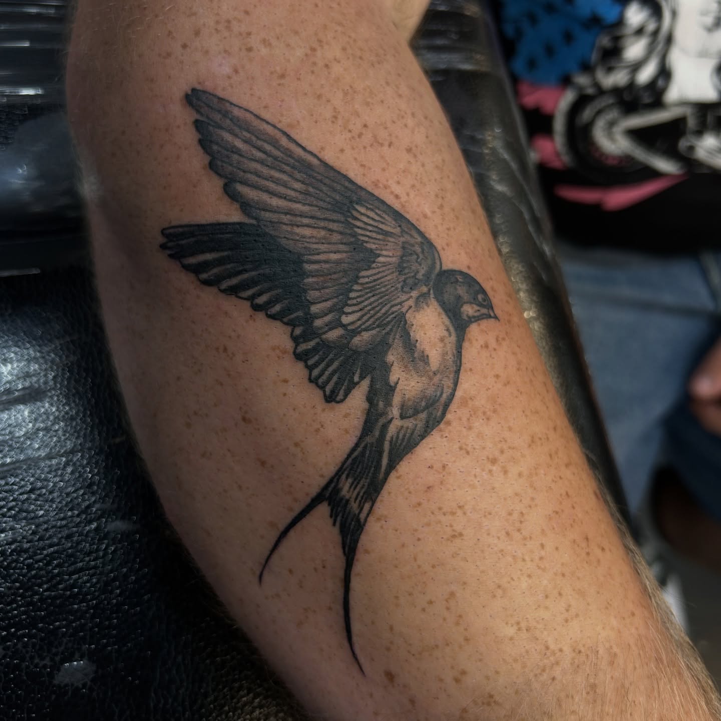 Swallow black and grey tattoo on the forearm by Amara Lyons, Matakana, New Zealand