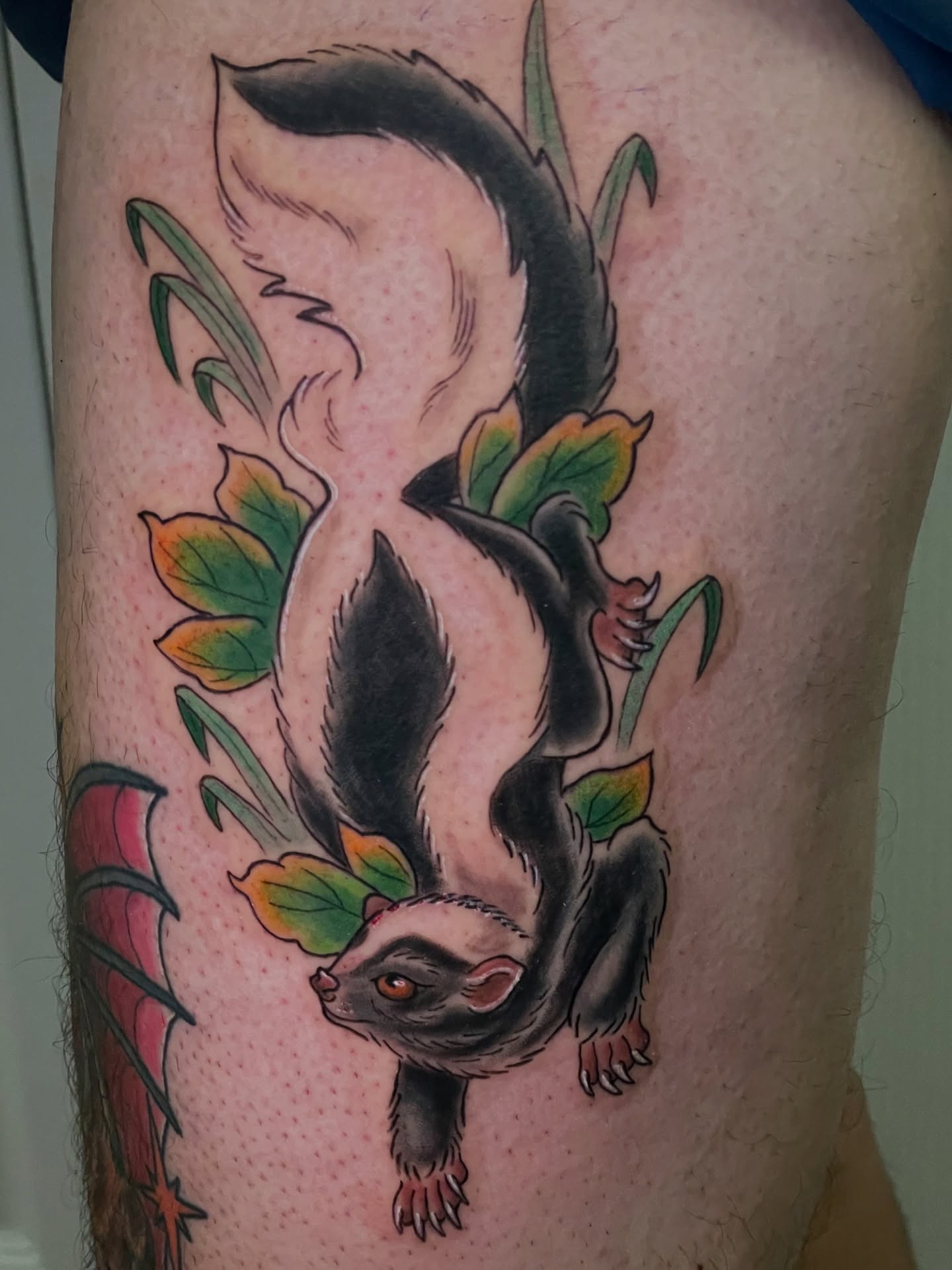 Skunk American traditional tattoo on the thigh by 𝑲𝒂𝒊𝒕 𝑨𝒏𝒅𝒆𝒓𝒔𝒆𝒏