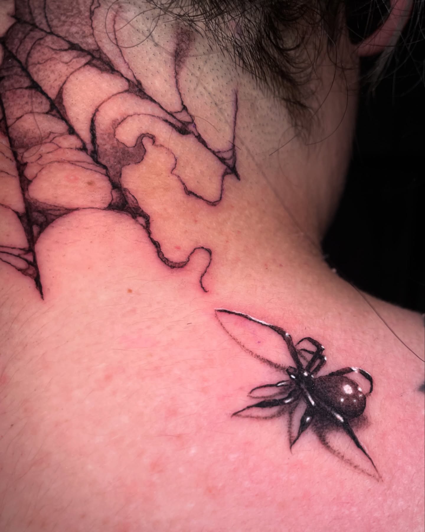 Spider realism tattoo on the shoulder by Chato