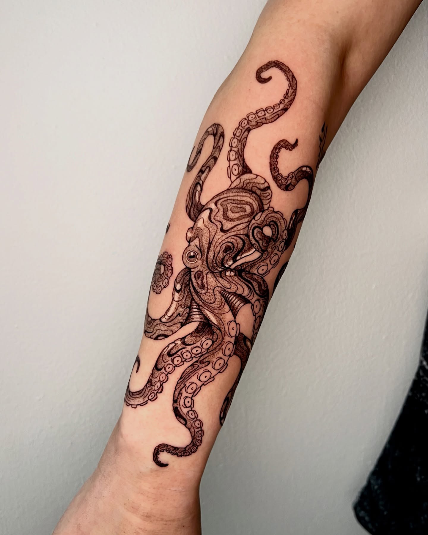 Octopus black and grey tattoo on the forearm by AJ π°π· LA tattoo