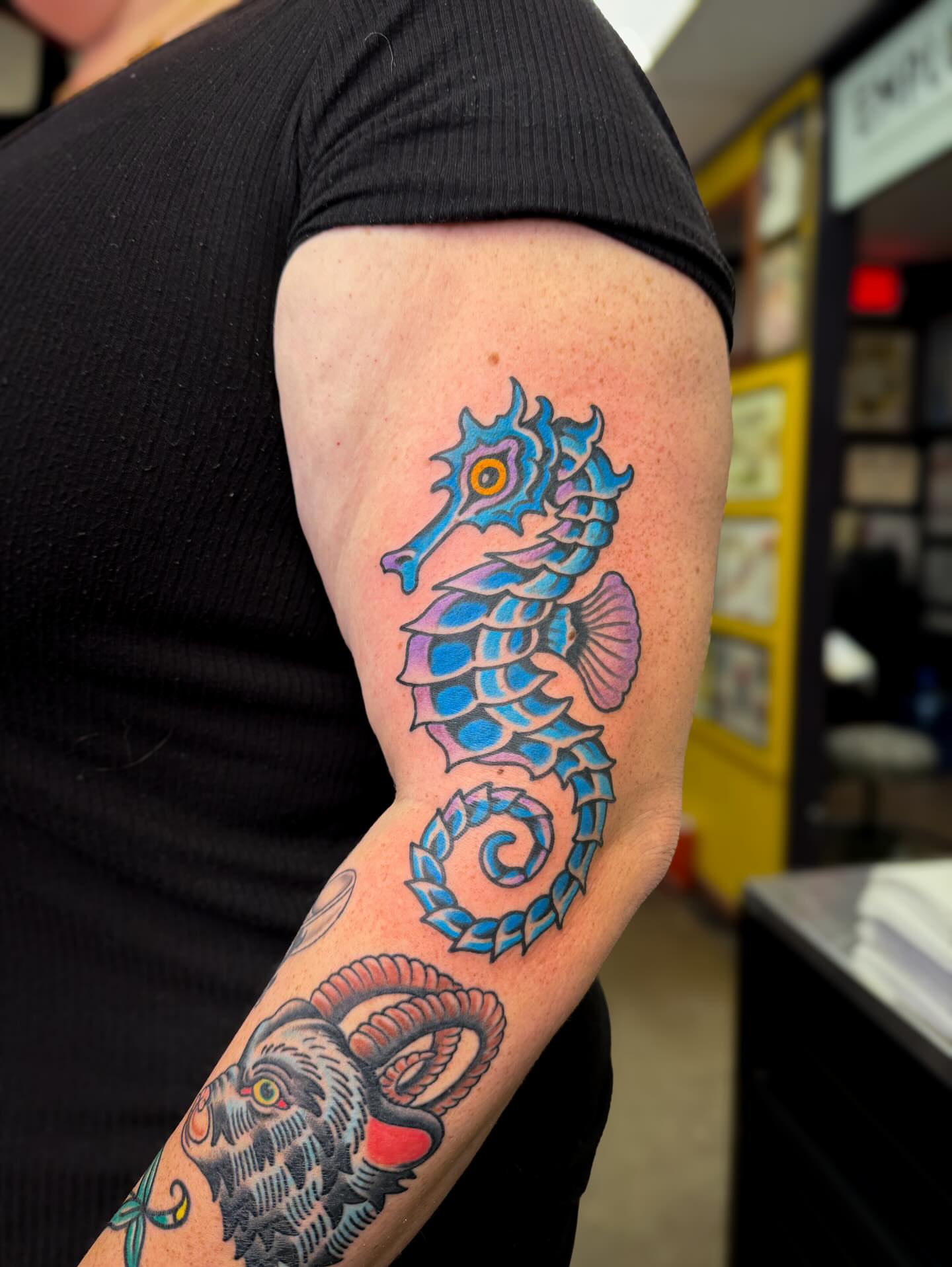 Seahorse American traditional tattoo on the forearm by Danny Reed, Asheville, North Carolina
