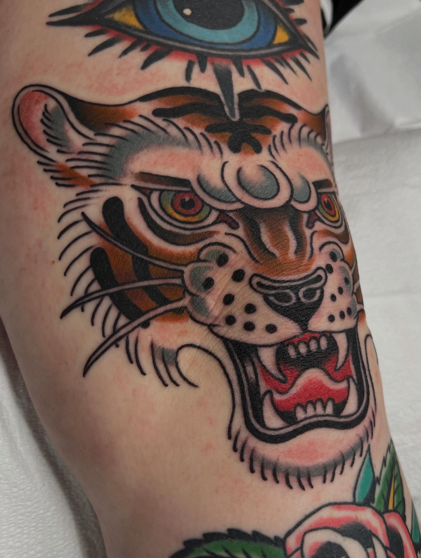 Tiger American traditional tattoo on the forearm by Kyle Olson, Salt Lake City, Utah