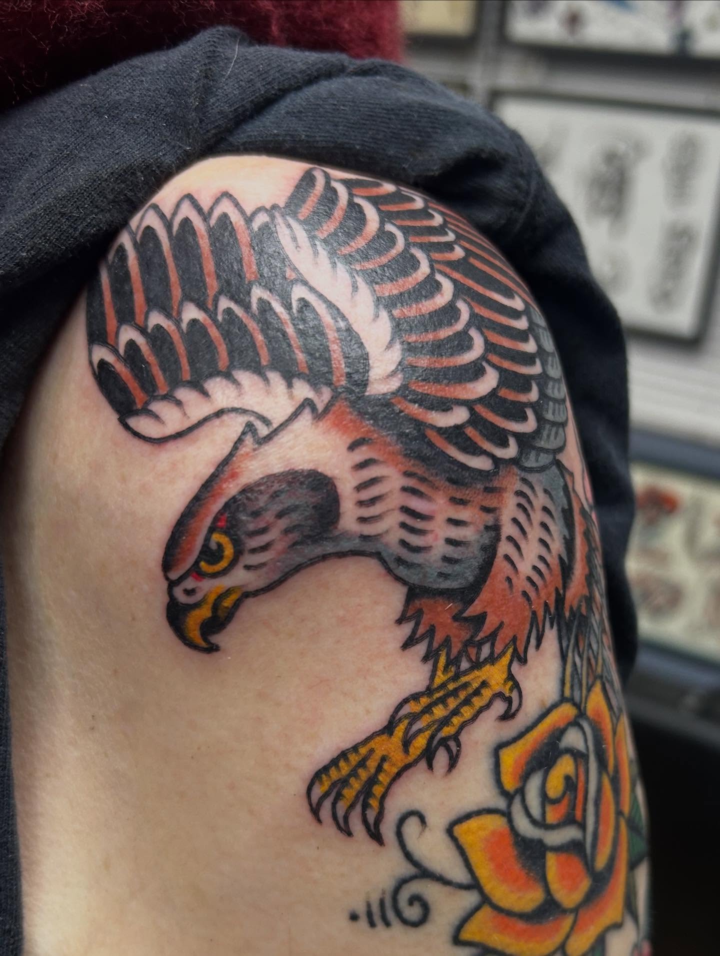 Hawk American traditional tattoo on the shoulder by Tiffany Vargas