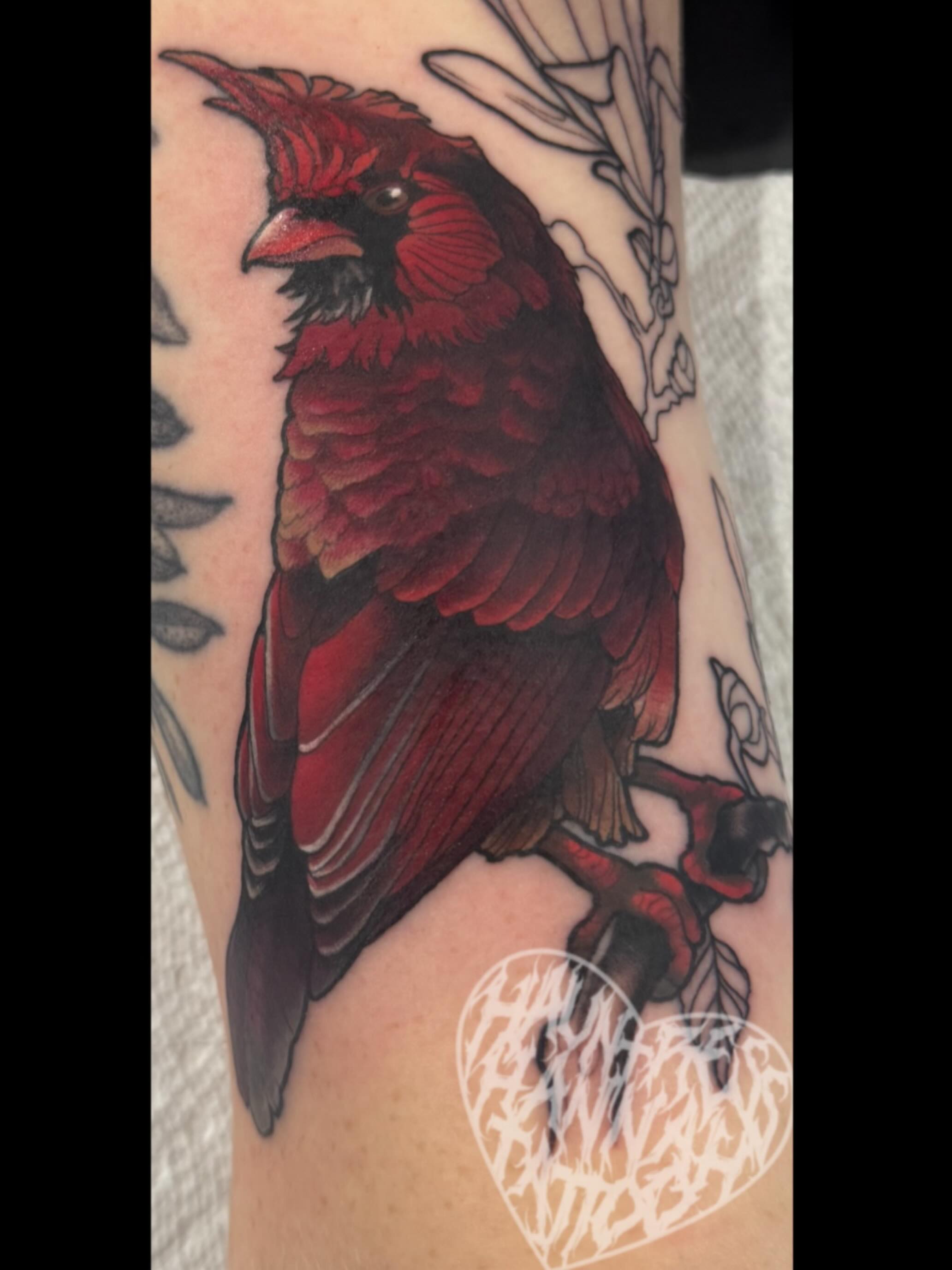 Cardinal bird realism tattoo on the forearm by Hannah Casadonti
