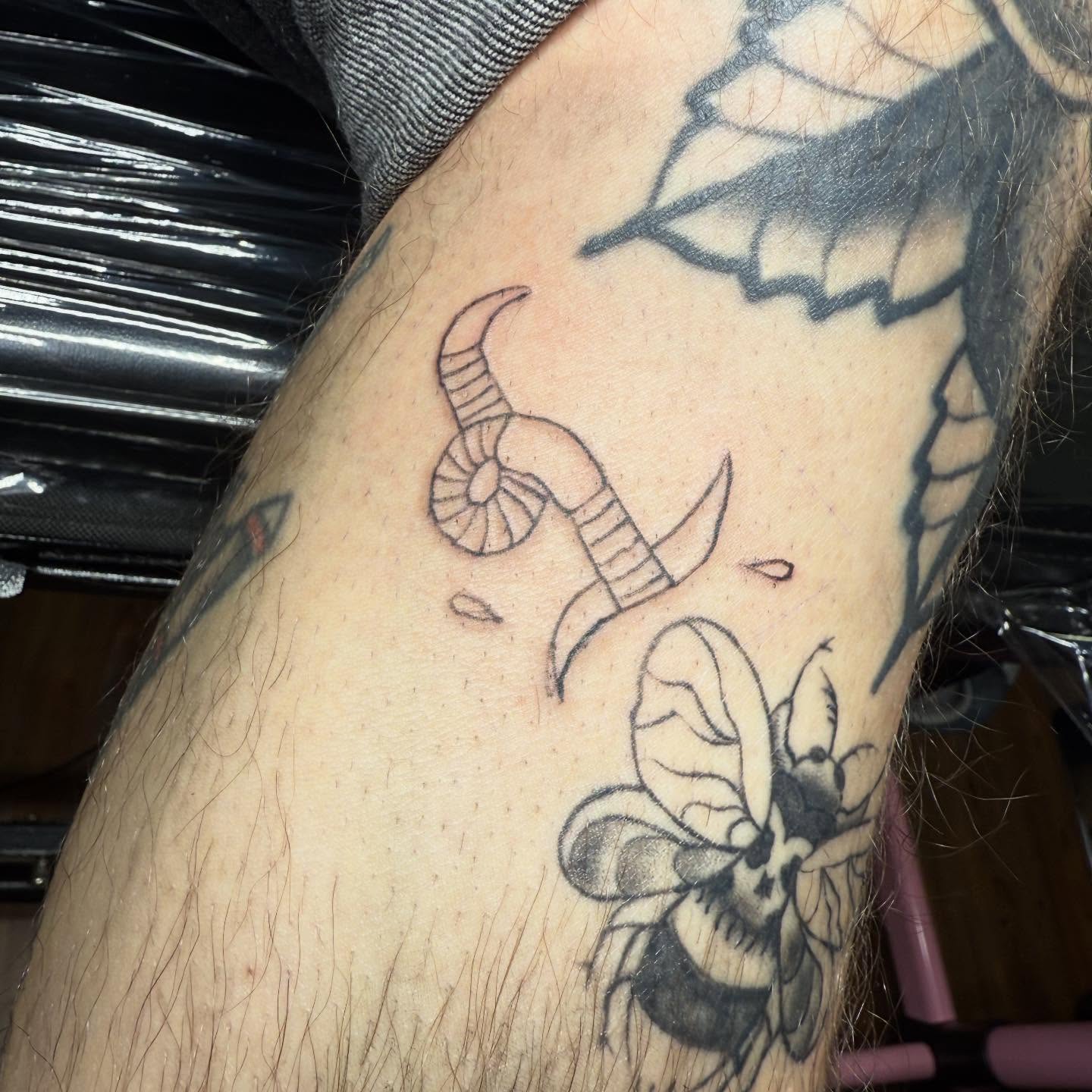 Snake and bee black and grey tattoo on the forearm by Liz🗡️Fort Collins🗡️Tattoo Apprentice