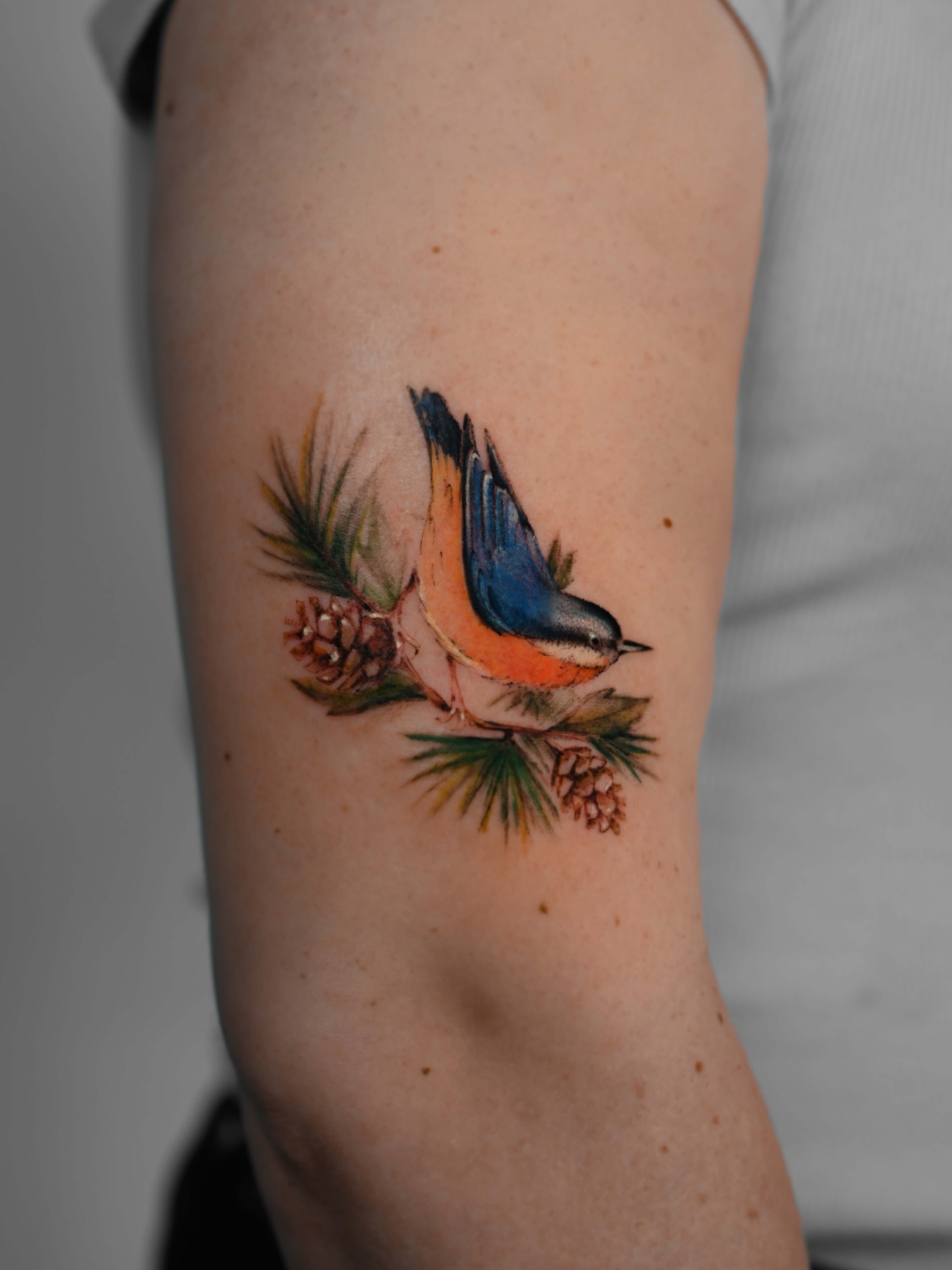 Bird realism tattoo on the forearm by Anastasiia