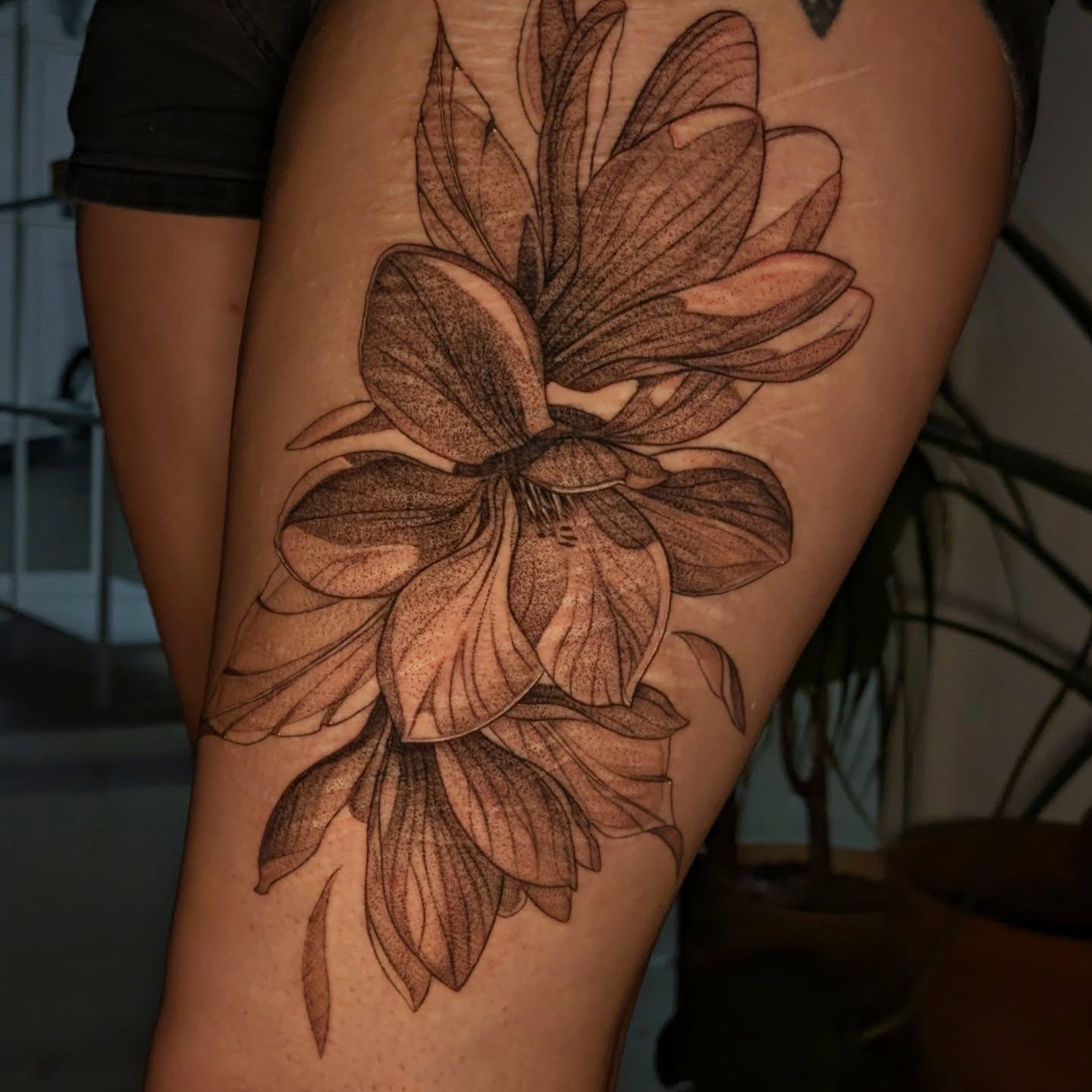 Tattoo by @jasdillonart — dotwork