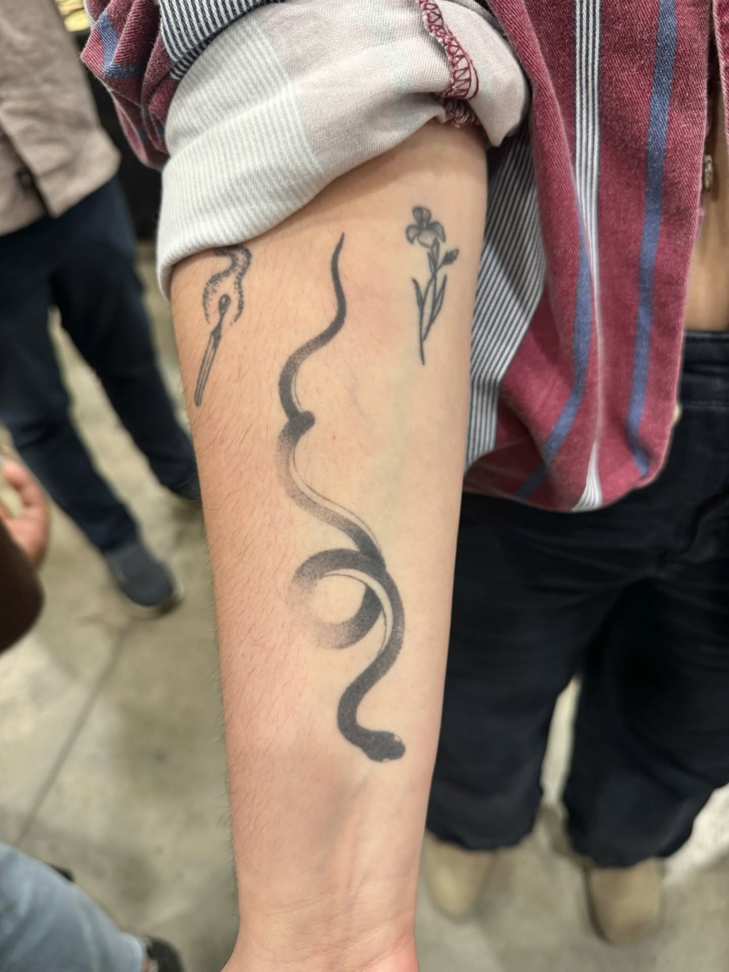 Tattoo by @inkbyhb — dotwork, black_and_grey