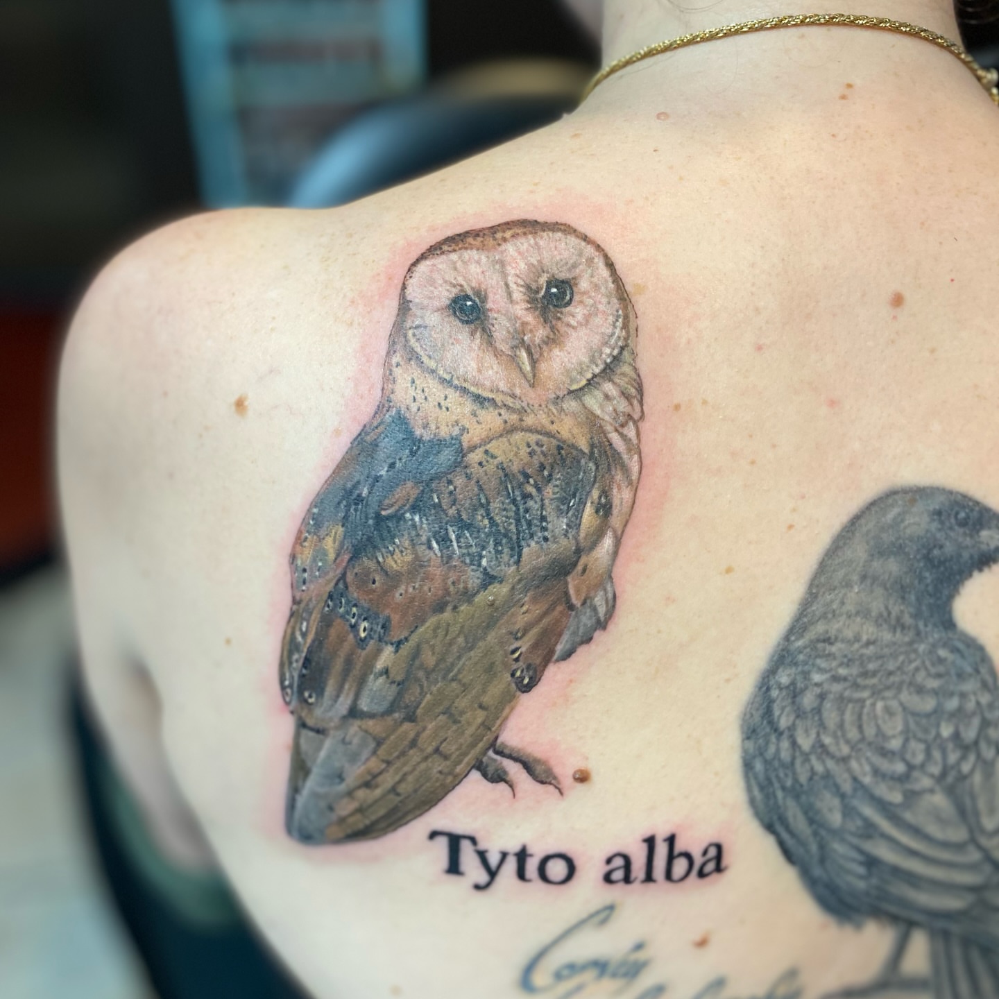 Tattoo by @kryzjewell — realism