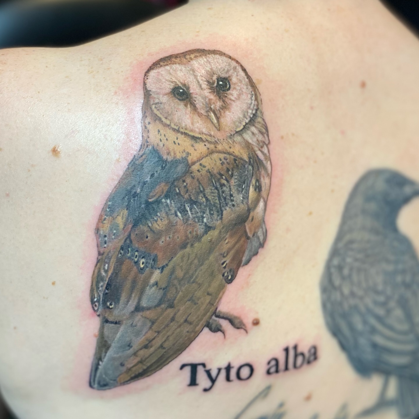 Tattoo by @kryzjewell — realism