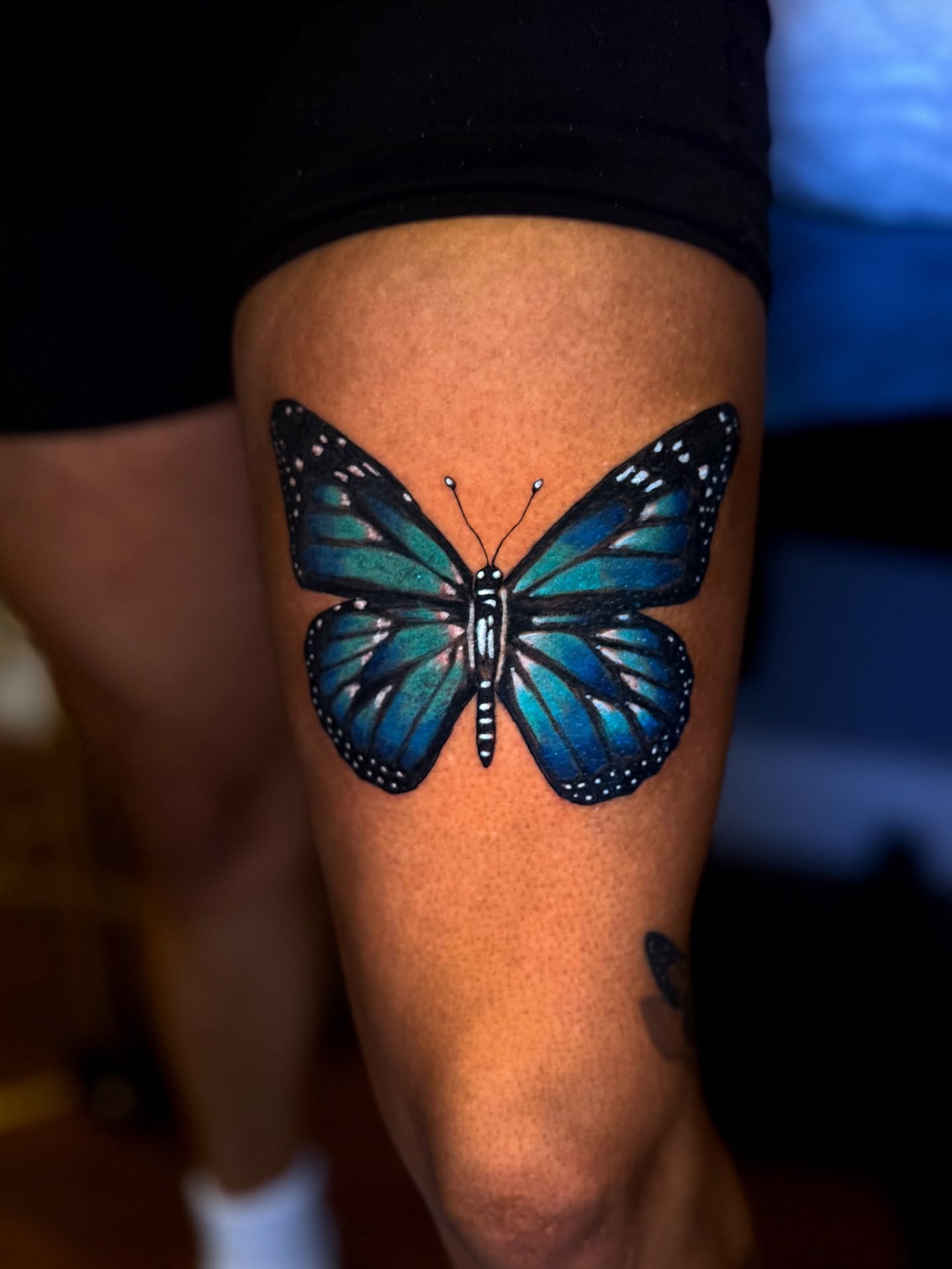 Butterfly realism tattoo on the thigh by Pikashi 🎨🖌️🖤