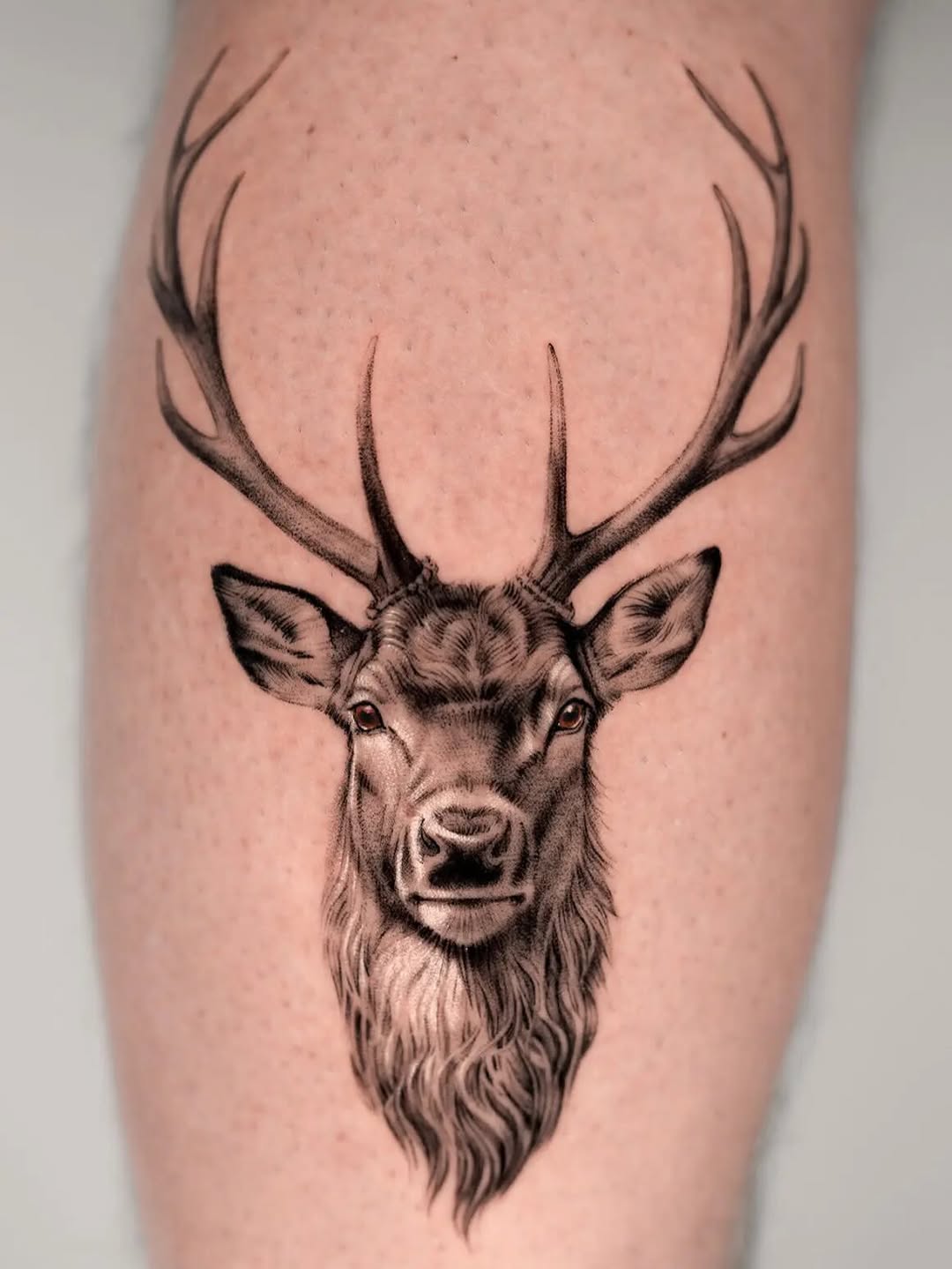 Deer portrait fine line tattoo on the thigh by Jun