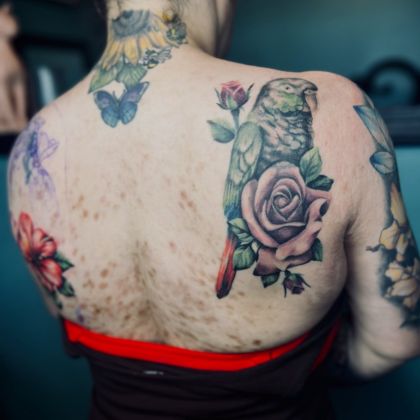 Parrot and rose realism tattoo on the back by Sydney Rose