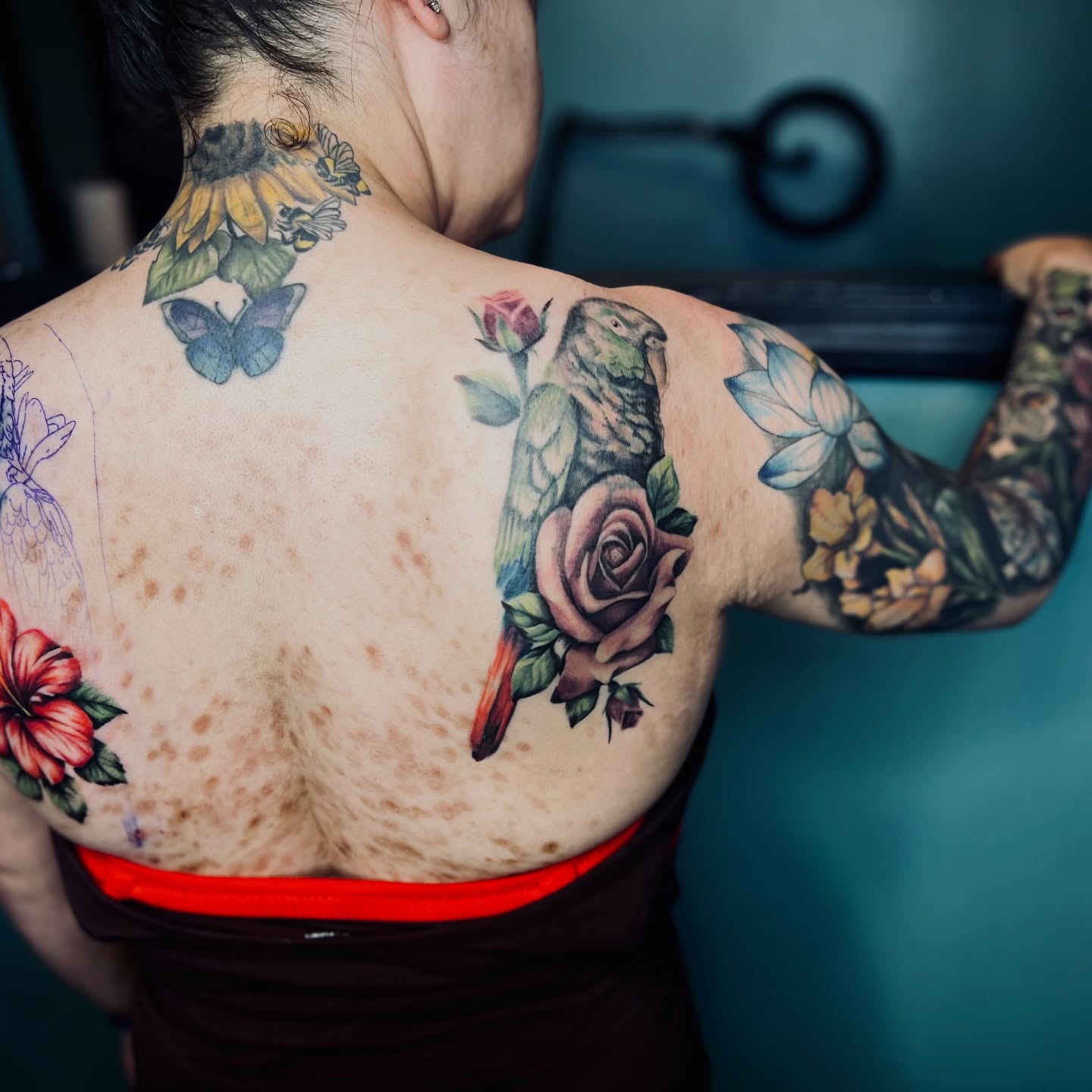 Parrot and rose American traditional tattoo on the back by Sydney Rose